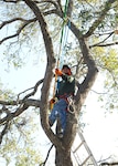Martinez GreGorio, landscape technician, trims trees March 13 within the Joint Base San Antonio-Randolph housing area. Tree-trimming crews are continuing the process to prune and remove trees in the JBSA-Randolph housing area in an effort to thin the habitat of white-winged doves, the No. 1 culprit in aircraft bird strikes affecting the 12th Flying Training Wing’s mission. (U.S. Air Force photo by Harold China)