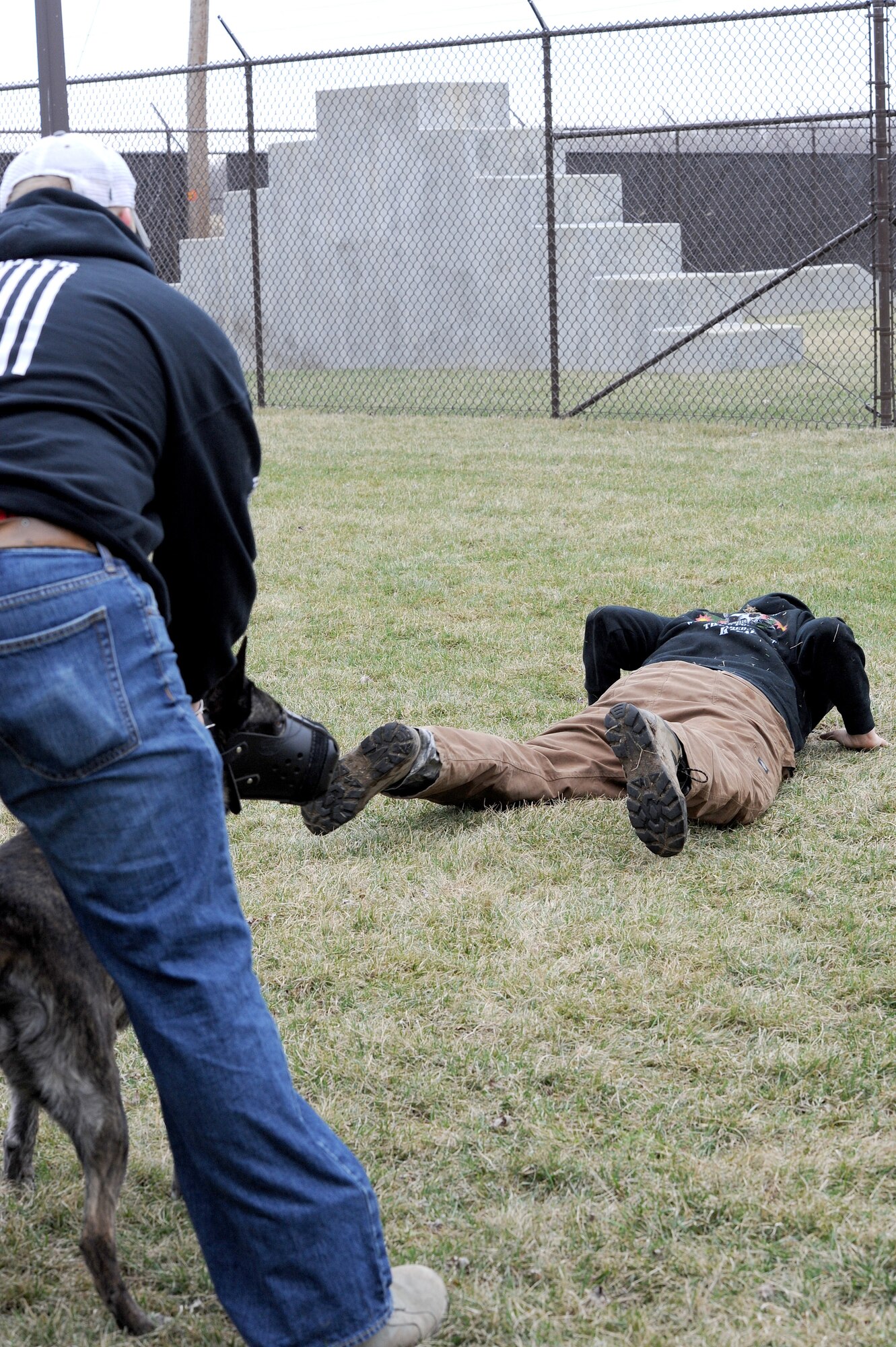 Staff Sgt. David Yaronczyk, 375th Security Forces Squadron military working dog handler, calls out commands to Tech. Sgt. Bryan Dell, 375th SFS NCOIC military working dog section, as Fay, 375th SFS military working dog, watches during muzzle aggression training March 20, 2015, at the 375th SFS Military Working Dog Kennels at Scott Air Force Base, Ill. At approximately nine months old the K-9’s start training and must go through a 120 day basic training course where they learn basic obedience and either become a drug or bomb dog. (U.S. Air Force photo/ Senior Airman Tristin English)