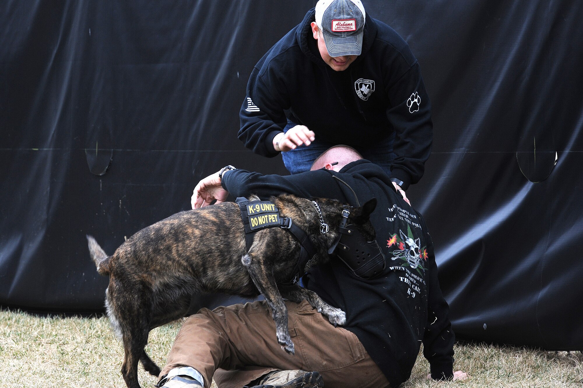 Tech. Sgt. Bryan Dell, 375th Security Forces Squadron NCOIC military working dog section, gets tackled by Fay, 375th SFS military working dog, during muzzle aggression training March 20, 2015, at the 375th SFS Military Working Dog Kennels at Scott Air Force Base, Ill. Before becoming military working dogs they must go through their own basic training to learn basic obedience, controlled aggression and how to find a suspect indoors and outdoors. (U.S. Air Force photo/ Senior Airman Tristin English)