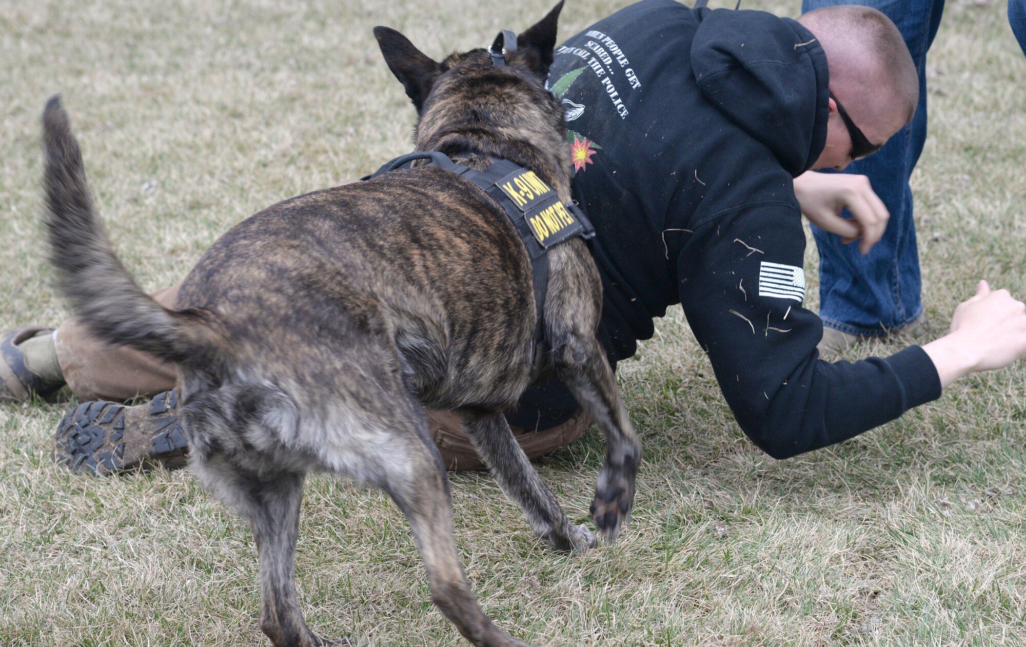 Tech. Sgt. Bryan Dell, 375th Security Forces Squadron NCOIC military working dog section, gets tackled by Fay, 375th SFS military working dog, during muzzle aggression training March 20, 2015, at the 375th SFS Military Working Dog Kennels at Scott Air Force Base, Ill. Before becoming military working dogs they must go through their own basic training to learn basic obedience, controlled aggression and how to find a suspect indoors and outdoors. (U.S. Air Force photo/ Senior Airman Tristin English)