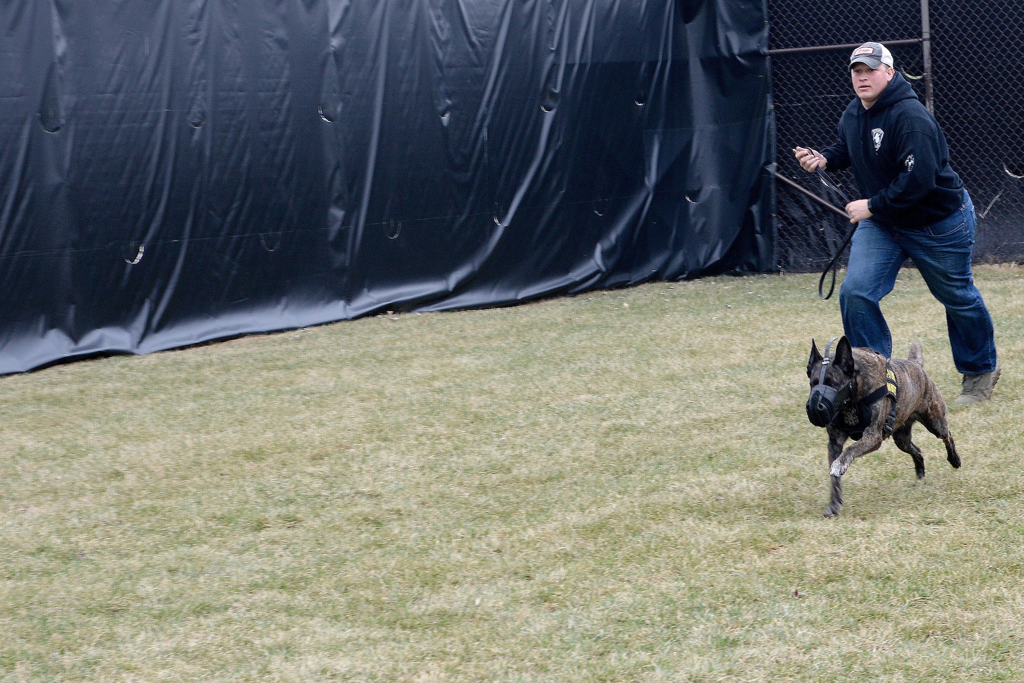 Staff. Sgt. David Yaronczyk, 375th Security Forces Squadron military working dog handler, releases Fay, 375th SFS military working dog during muzzle aggression training March 20, 2015, at the 375th SFS Military Working Dog Kennels at Scott Air Force Base, Ill. Muzzle aggression training helps to protect an individual when the MWD is released. (U.S. Air Force photo/ Senior Airman Tristin English)