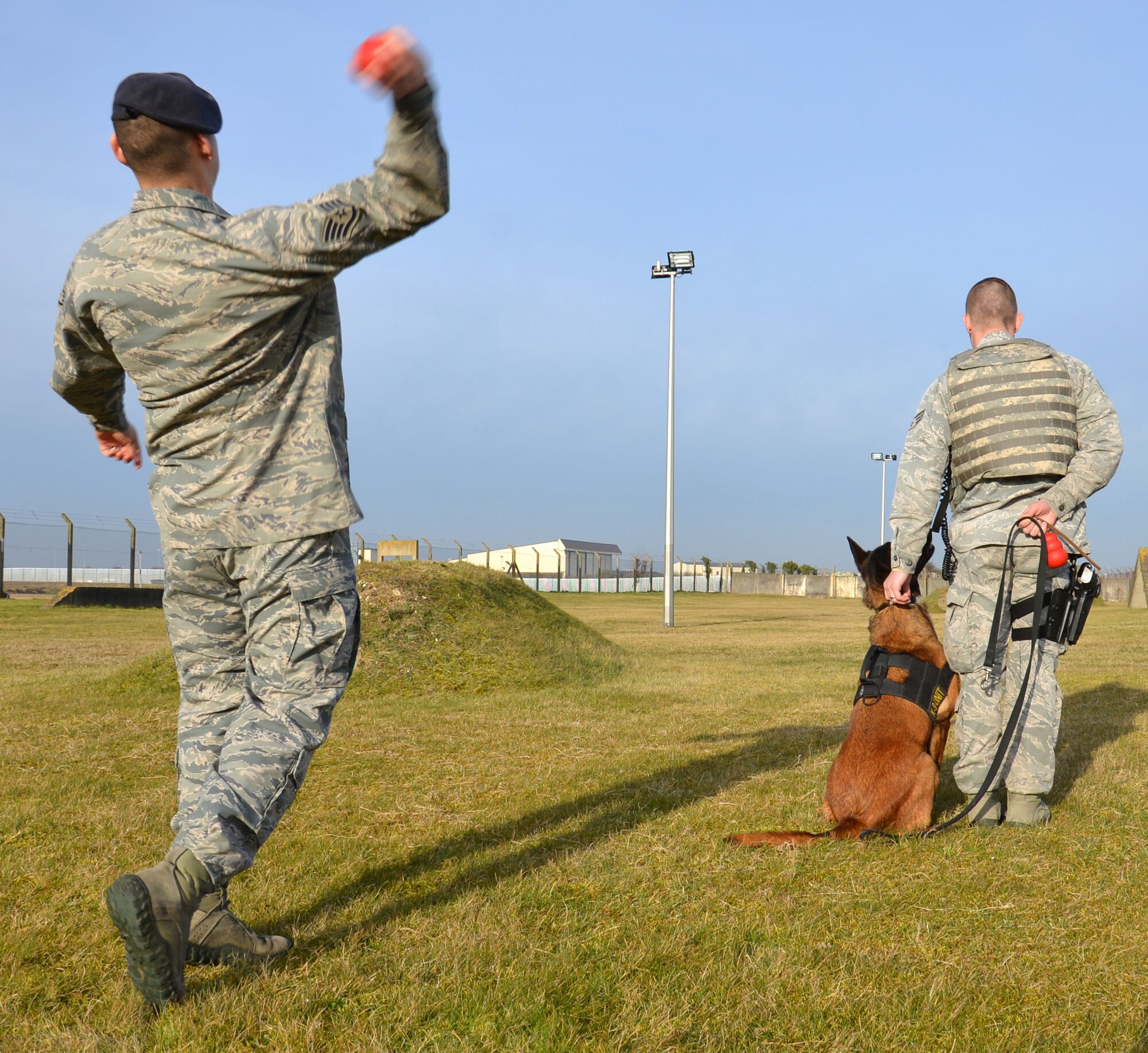 U.S. Air Force Staff Sgt. Joseph Serrano, left, 100th Security Forces Squadron Military Working Dog trainer from San Fernando, Calif., throws a ball for MWD Vvonya while U.S. Air Force Senior Airman Daniel Caldas, 100th SFS MWD handler from Milford, Mass., instructs her to wait for a command before retrieving it during training March 13, 2015, on RAF Mildenhall, England. MWD handlers work with trainers to make sure the dog shows progress. The trainers are out training as much as they can to keep the MWD’s skills up to date. (U.S. Air Force photo by Gina Randall/Released)