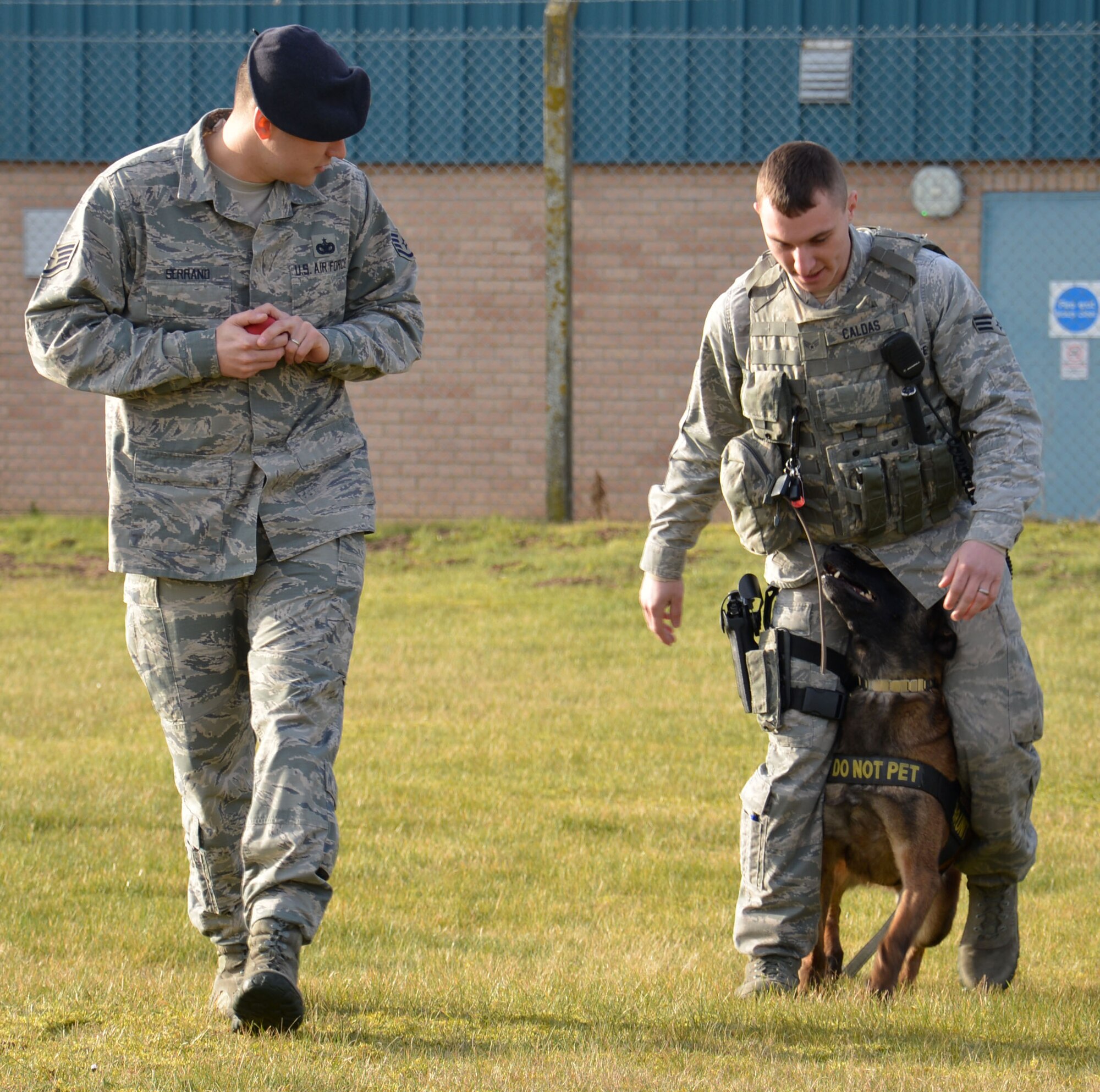 U.S. Air Force Staff Sgt. Joseph Serrano, left, 100th Security Forces Squadron Military Working Dog trainer from San Fernando, Calif., and U.S. Air Force Senior Airman Daniel Caldas, 100th SFS MWD handler from Milford, Mass., put MWD Vvonya through her paces March 13, 2015, on RAF Mildenhall, England. The Airmen were training her to walk in between her handler’s legs with a toy as reward. (U.S. Air Force photo by Gina Randall/Released)