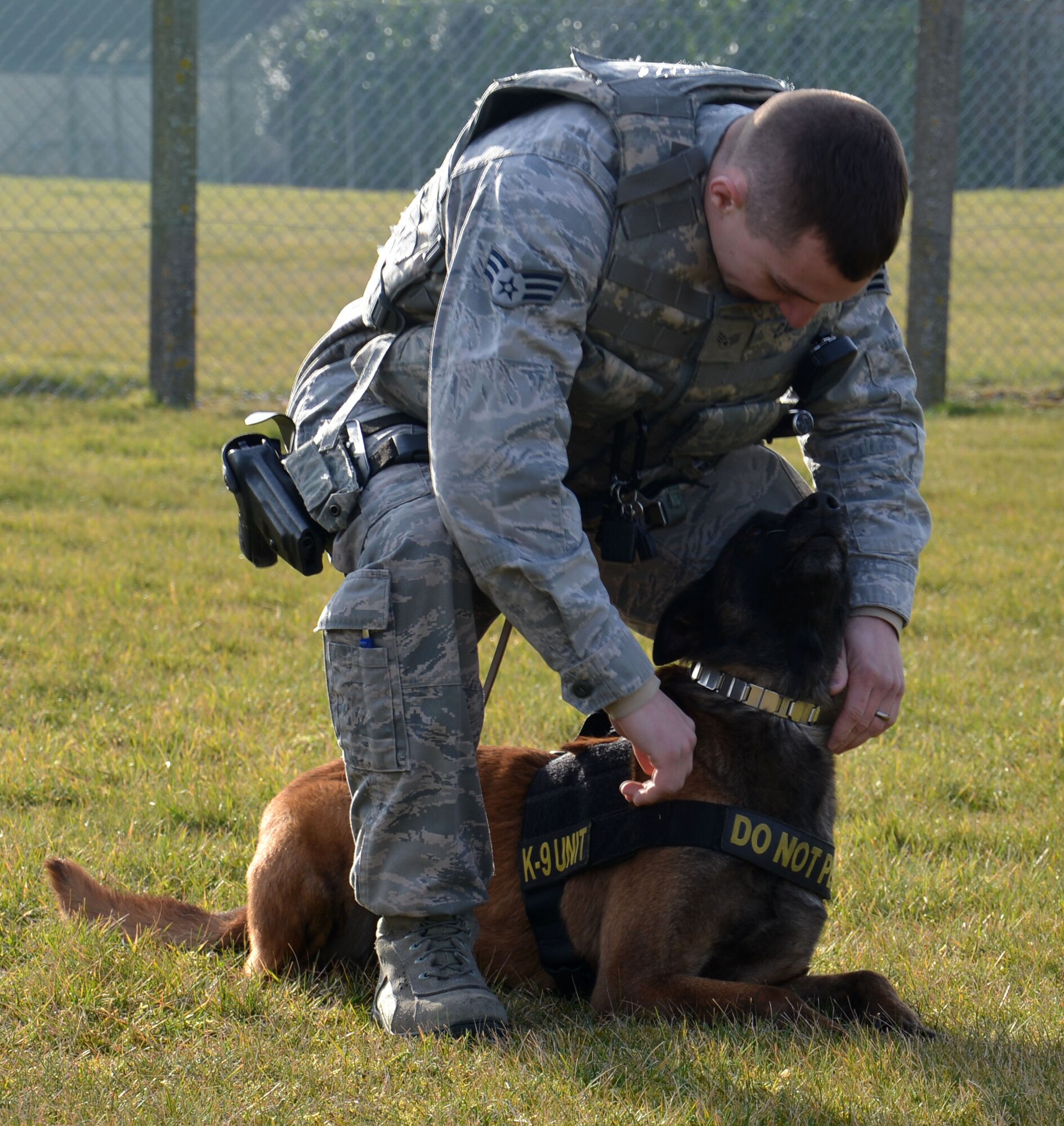 U.S. Air Force Senior Airman Daniel Caldas, 100th Security Forces Squadron Military Working Dog handler from Milford, Mass., rewards MWD Vvonya following a successful training session March 13, 2015, on RAF Mildenhall, England. The dogs are not pets but the handlers try to make them feel as well cared for and are treated as part of the family while serving their country in the kennel environment. (U.S. Air Force photo by Gina Randall/Released)