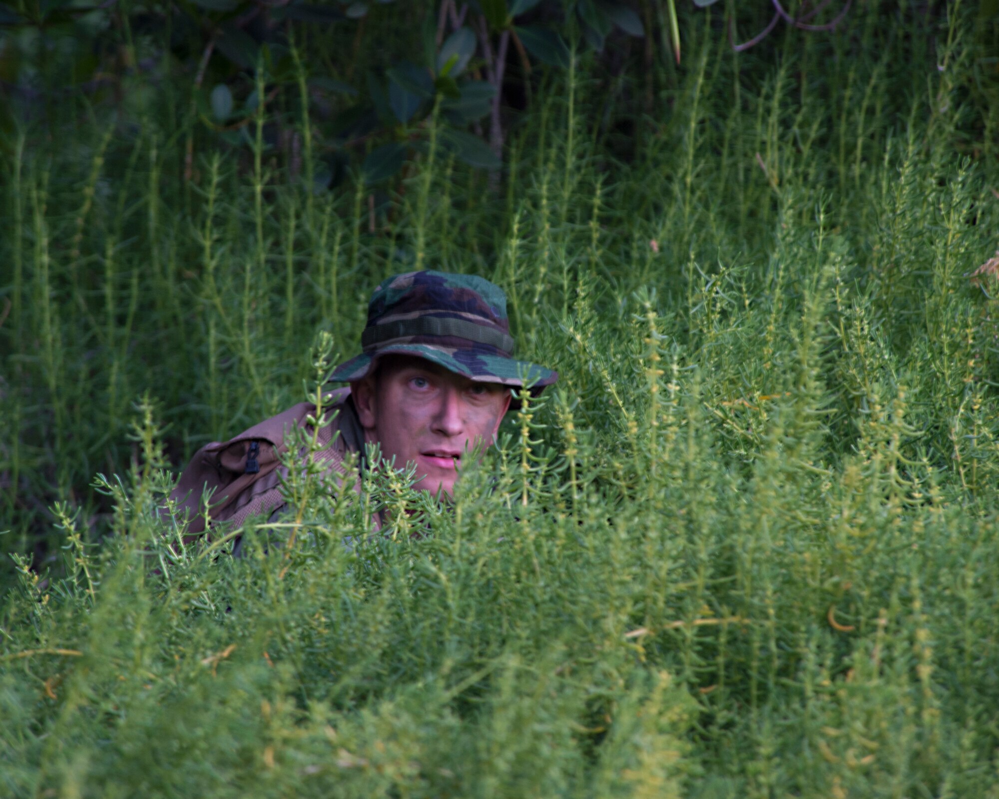 Capt. Matt Savage, a pilot for the 96th Air Refueling Squadron, looks out for opposition forces during combat survival training on Joint Base Pearl Harbor-Hickam, Hawaii, March 26, 2015. The aircrew uses teamwork to conceal their location, evade opposition forces, and practice proper recovery procedures. (U.S. Air Force photo by Tech. Sgt. Aaron Oelrich/Released)