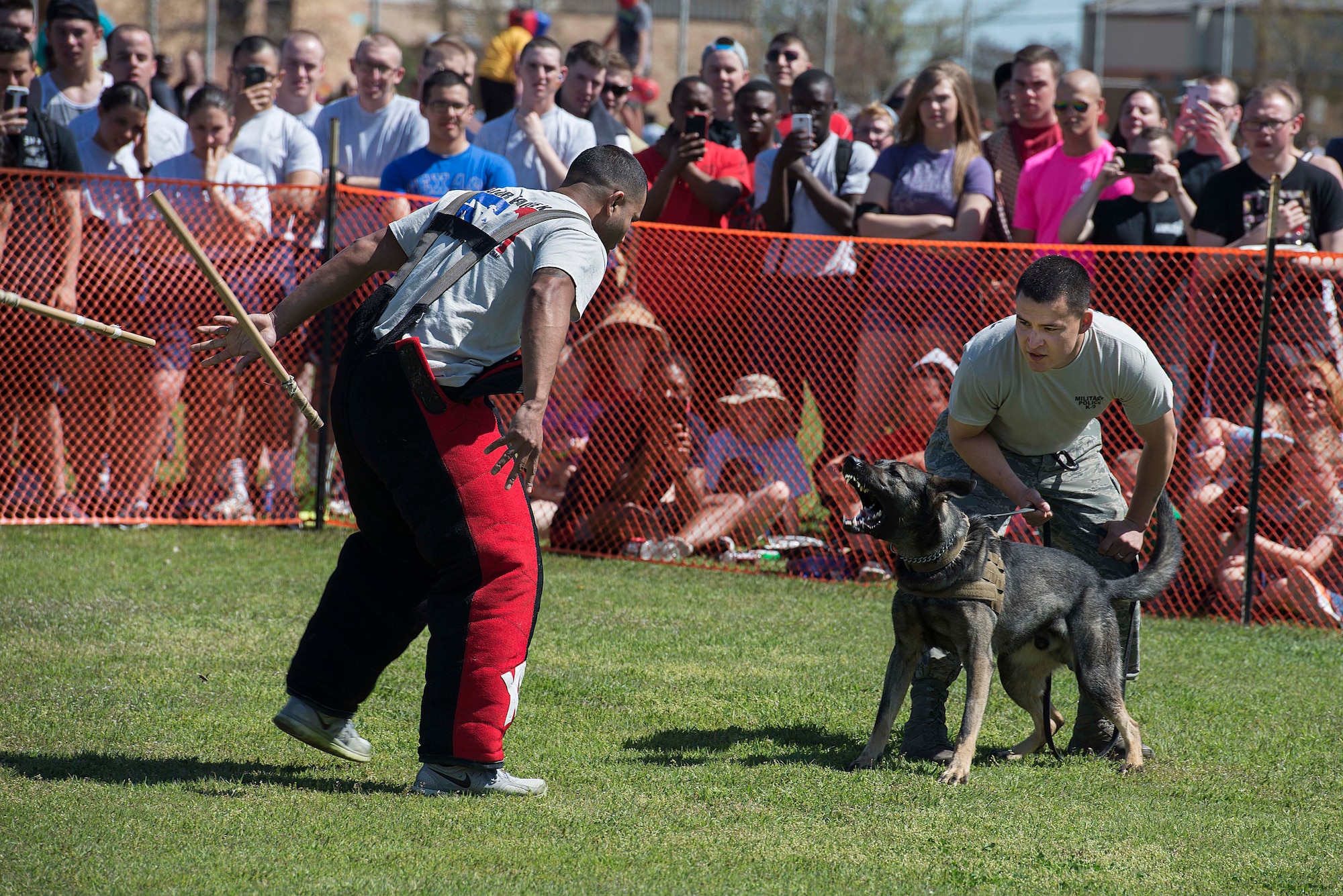U.S. Air Force Staff Sgt. Daniel Flores, 82nd Security Forces Squadron military working dog kennel master and native of San Antonio, engages U.S. Air Force Staff Sgt. Michael Peralez, 82nd SFS MWD handler also a native of San Antonio, during a MWD demonstration at the Sheppard Air Force Base, Texas, Spring picnic March 28, 2015. Airmen and families gathered to watch as Flores and Peralez simulated several scenarios that involved the use of military working dogs. (U.S. Air Force photo by Senior Airman Kyle Gese)