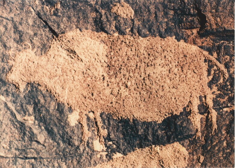 A buffalo petroglyph, one of many in southeastern Colorado, near John Martin Reservoir. Petroglyph panels and other cultural resources located on public lands belong to all Americans and are protected by the National Historic Preservation Act. Please photograph but do not touch or deface these historic properties.