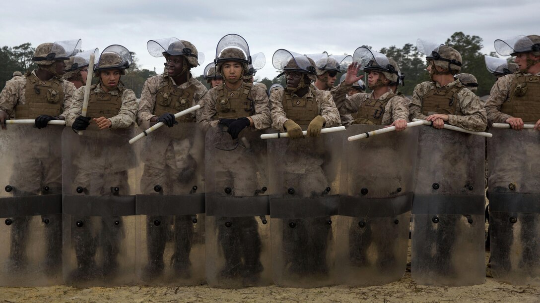 Marines with Golf Company and Echo Battery, 2nd Battalion, 6th Marine Regiment practice riot-control and non-lethal techniques aboard Marine Corps Base Camp Lejeune, N.C., March 27, 2015. The Marines conducted two weeks of non-lethal weapons training in preparation for an upcoming deployment.