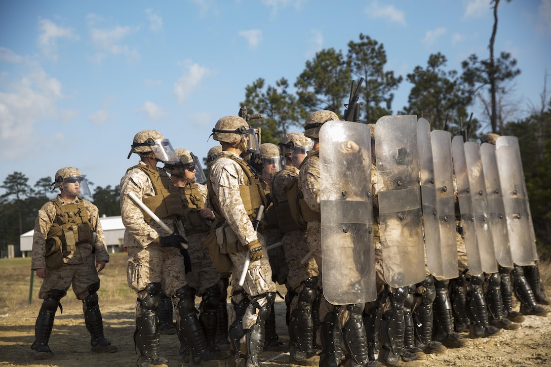 Infantrymen with Golf Company, 2nd Battalion, 6th Marine Regiment, and artillerymen with Echo Battery, 2/6, prepare to begin the live-fire portion of their non-lethal weapons training aboard Camp Lejeune, N.C., March 25, 2015. The Marines participated in a two-week NLW course that teaches various riot-control methods.