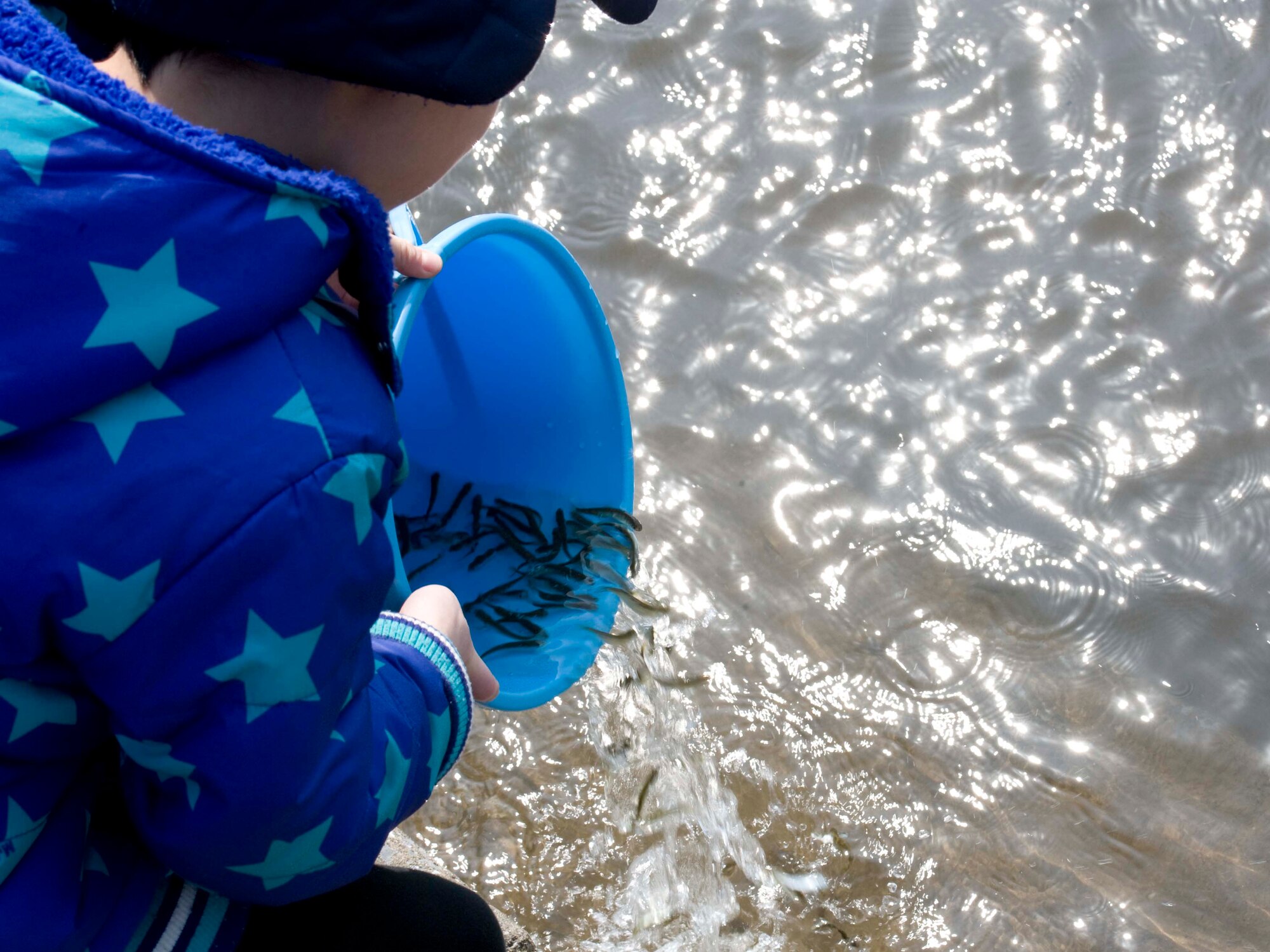 A child releases baby salmon into the Oirase River during the 17th Annual Baby Salmon Release at the Oirase Salmon Park, Japan, March 28, 2015. These baby salmon are released in the river’s freshwater where they start their journey to the ocean to grow and reproduce. Later in the year, salmon return for the Oirase Salmon Festival. (U.S. Air Force photo by Airman 1st Class Jordyn Rucker/Released)
