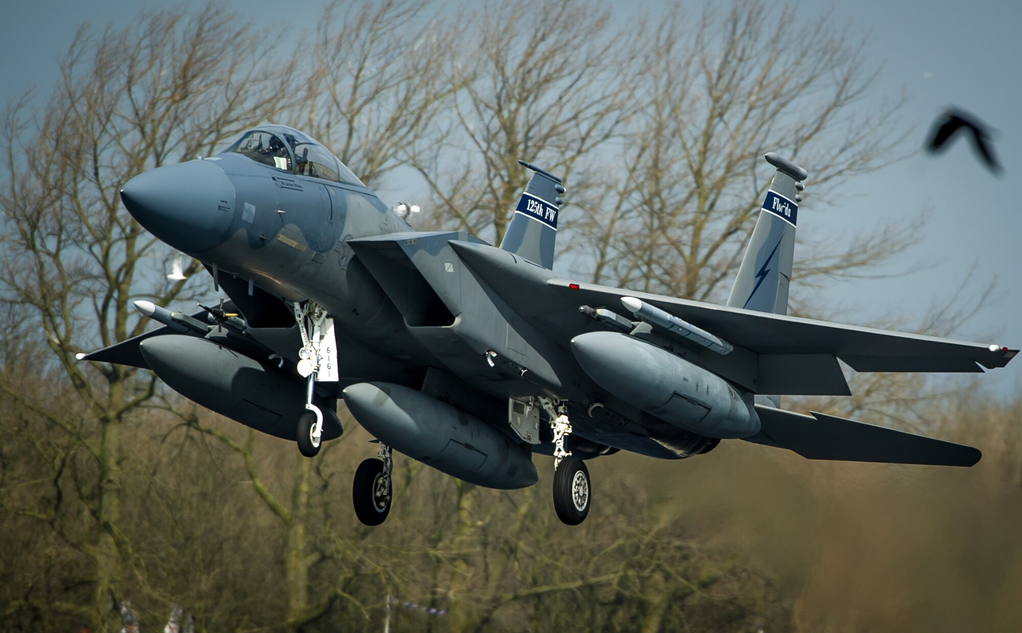 An F-15C Eagle lands at Leeuwarden Air Base, Netherlands, March 31, 2015. F-15C Eagles from the Florida Air National Guard's 159th Expeditionary Fighter Squadron are deployed to Europe as the first ever ANG theater security package here. These F-15s will conduct training alongside our NATO allies to strengthen interoperability and to demonstrate U.S. commitment to the security and stability of Europe. (U.S. Air Force photo/ Staff Sgt. Ryan Crane)