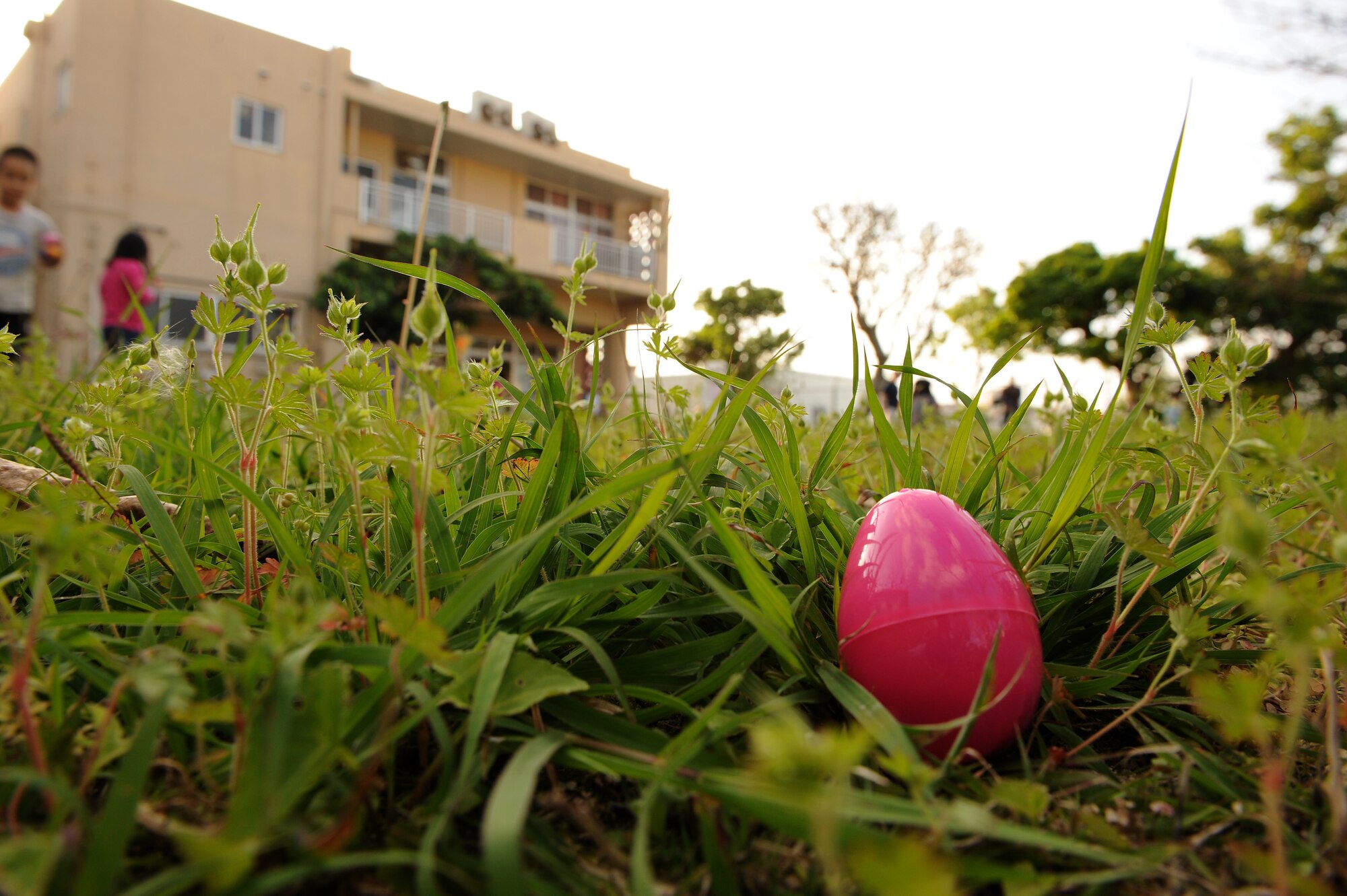 Children from the Midori School-age Program hunt for Easter eggs in Okinawa City, Japan, March 26, 2015. Members of the Wisonsin Air National Guard 115th Fighter Wing set up an afternoon of Easter-themed games and activities for the children in order to share a bit of American culture and interact with the local community. (U.S. Air Force photo by Airman 1st Class Zade C. Vadnais)