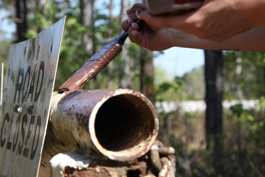 A volunteer paints a gate at the Croatan National Forest in New Bern, North Carolina, during the Single Marine Programs inaugural service day, April 22, 2015. Additional service members volunteered at the Carteret County Humane Society Animal Shelter, American Heroes Home Build an an air station cleanup project.