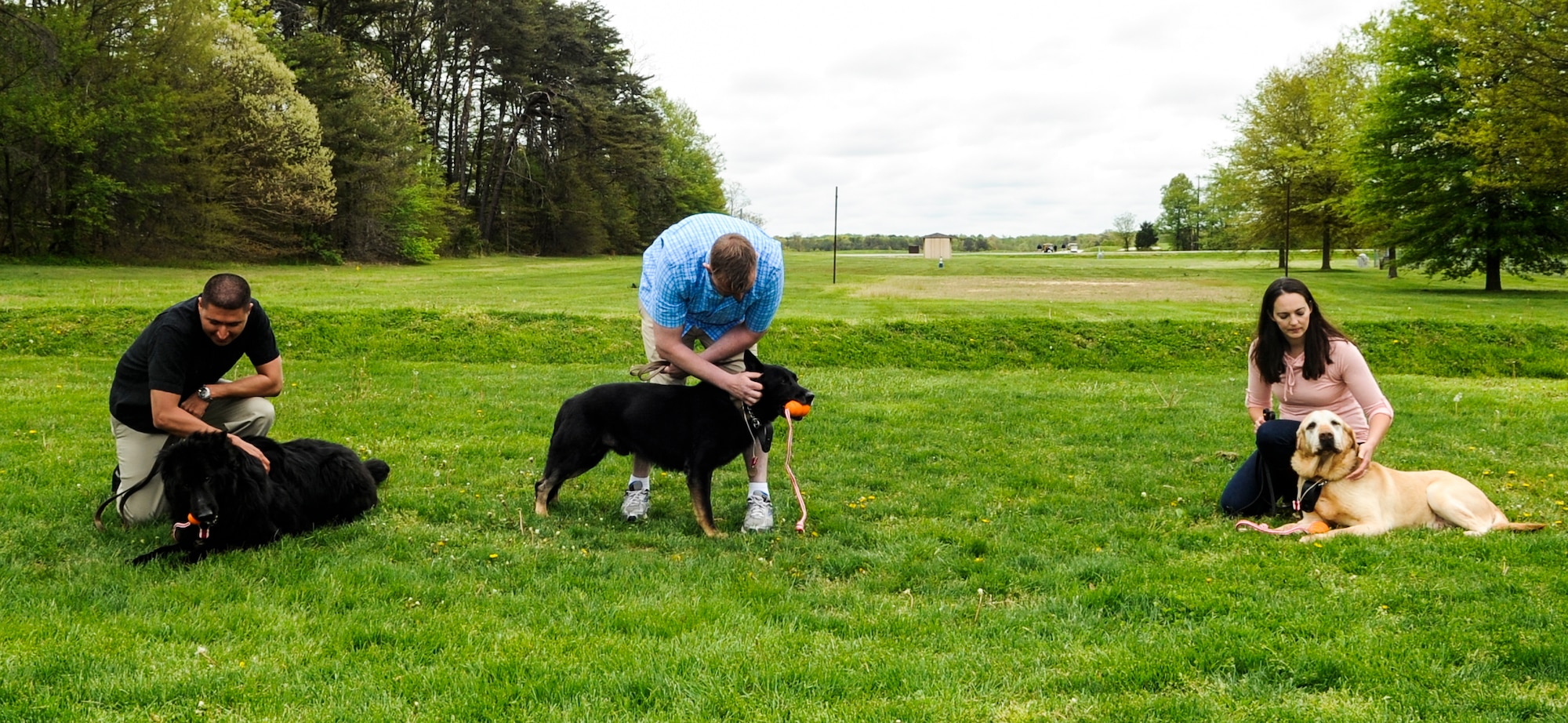 Military working dogs relax after their retirement ceremony on Joint Base Andrews, Md., May 1, 2015. Combined, these MWD’s completed more than 31,000 search hours and cleared approximately 297,000 vehicles. (U.S. Air Force photo/ Senior Airman Mariah Haddenham)
