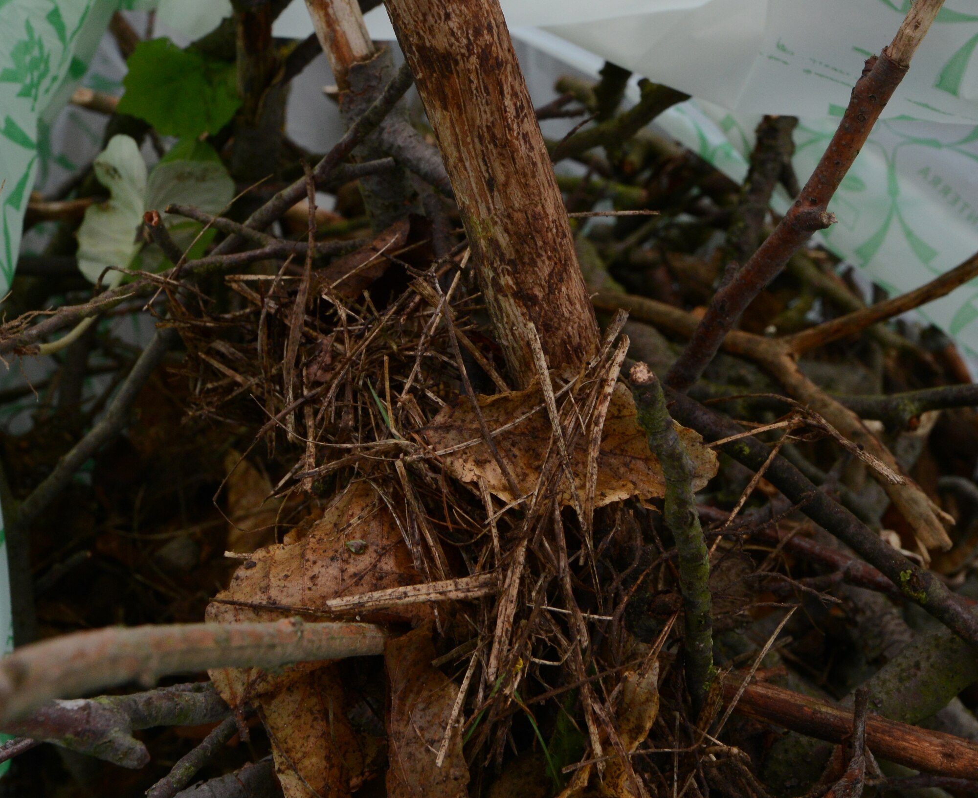 Sticks, grass and other decomposable materials are gathered into a biodegradable bag for Base Pride April 27, 2015, at Ramstein Air Base, Germany. Office buildings, dormitories and base housing areas were cleaned during Base Pride to keep the base looking neat and professional. (U.S. Air Force photo/Airman 1st Class Tryphena Mayhugh)