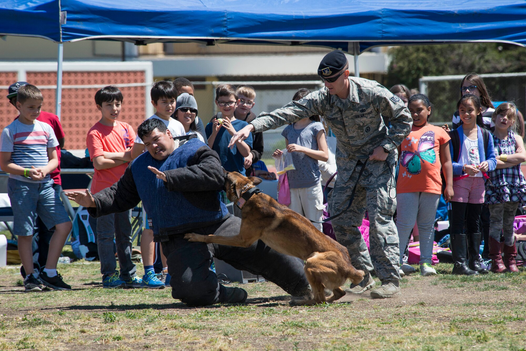 Dependents from the 39th Air Base Wing watch a 39th Security Forces Squadron military working dog demonstration at the 2015 Job Shadow Day April 24, 2015, at Incirlik Air Base, Turkey. The demonstration was one of the many places the dependents visited throughout the day. (U.S. Air Force photo by Airman 1st Class Cory W. Bush/Released)