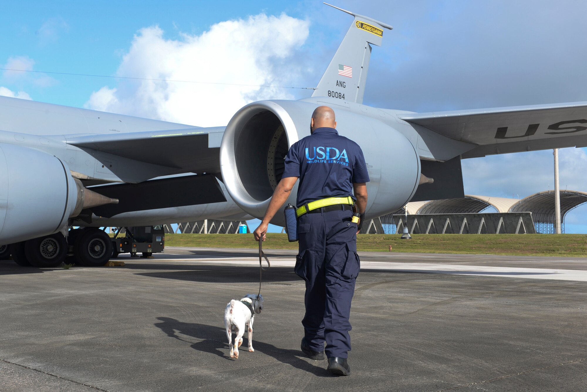 Tony Thompson, U.S. Department of Agriculture brown tree snake detector dog handler, and Striker, Striker, a USDA brown tree snake detector dog, inspect an aircraft prior to departure April 30, 2015, at Andersen Air Force Base, Guam. With the utilization of the 17 active detector dog teams and 4,000 traps, the USDA has helped significantly prevent the spread of the brown tree snakes. (U.S. Air Force photo by Senior Airman Katrina M. Brisbin/Released)