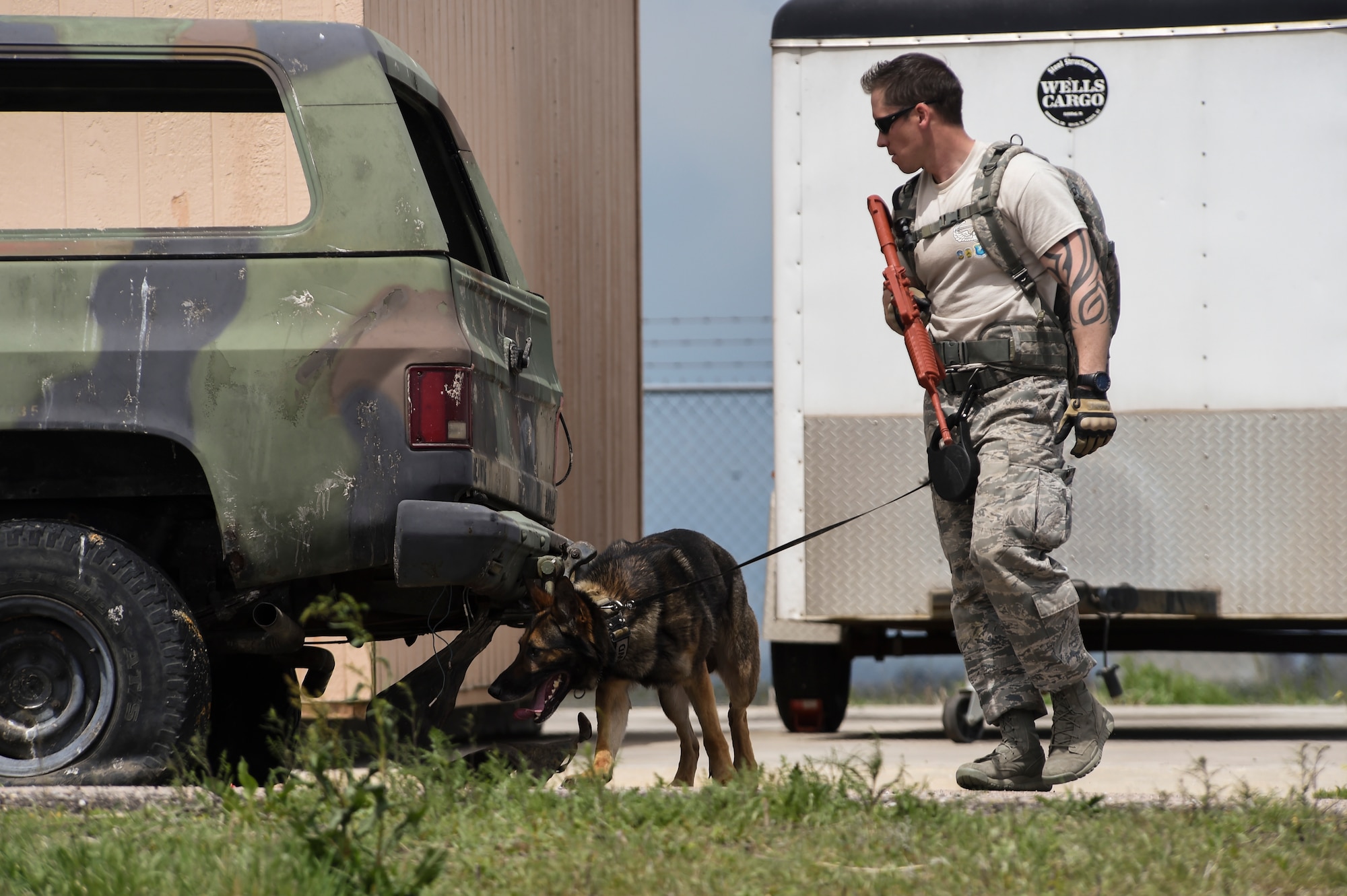 A military working dog team searches a field during the Cpl. David Sonka Memorial Competition May 3, 2015, at the 460th Security Forces training field on Buckley Air Force Base, Colo. The weekend’s events were held to honor the life of Sonka, a U.S. Marine Corps Military Working Dog handler who was killed in action in Afghanistan May 4, 2013. The weekend’s events included a motorcade to his grave, two memorial services, the reading of the names of all MWD and MWD handlers killed in action during Vietnam and recent years, a BBQ, and concluded with a multi-service dog handling competition. (U.S. Air Force photo by Senior Airman Phillip Houk/Released)