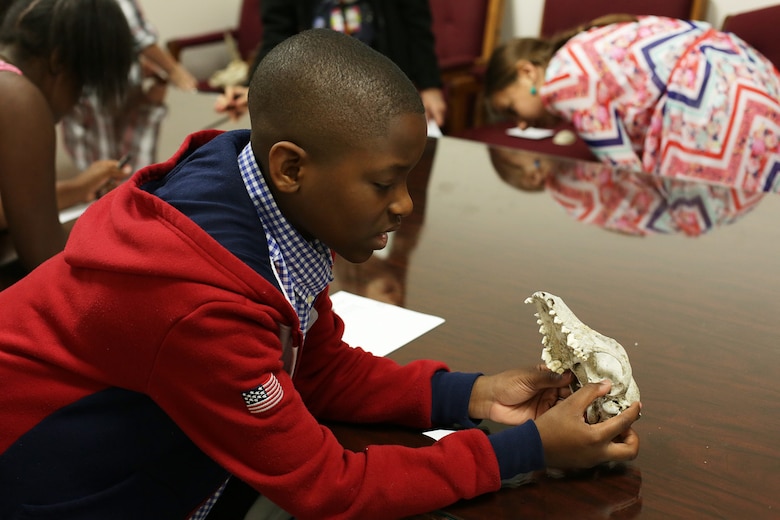 A participant examines a coyote skull during the Take our Daughters and Sons to Work Day held May 1. Participants discovered the district’s expansive footprint on public works projects throughout the Southeast and also tapped into large-scale efforts such as the Savannah Harbor Expansion Project, dam operations, wetlands restoration projects and other salient initiatives during the four-hour event.