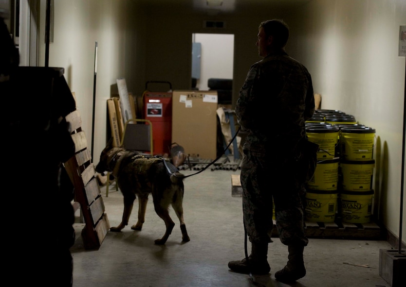 U.S. Air Force Staff Sgt. Ryan Duren, 35th Security Forces Squadron military working dog handler, leads Charly, 35 SFS military working dog, in a search of training aids at Misawa Air Base, Japan, May 5, 2015. This training was preparation for the certification course all military working dog teams are required to complete in order to provide another layer of defense to the security mission. (U.S. Air Force photo by Airman 1st Class Jordyn Fetter/Released)