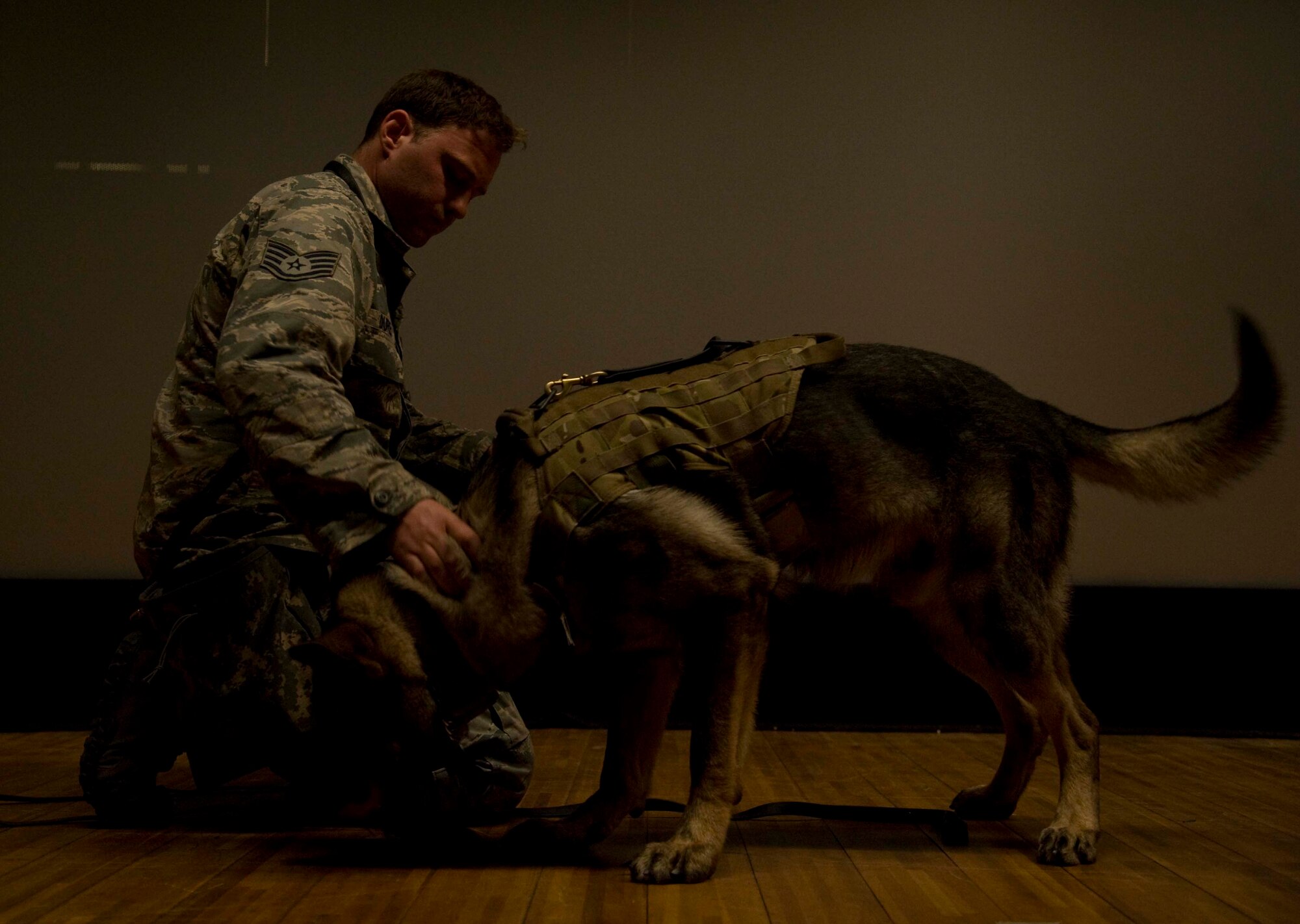 U.S. Air Force Staff Sgt. Ryan Duren, 35th Security Forces Squadron dog handler, pets Charly, 35 SFS military working dog, during training at Misawa Air Base, Japan, May 5, 2015. Since military working dogs are permanently assigned to a base, and handlers change as they move to different duty stations, teams are required to become certified before they are able to be used in the day-to-day, real-world missions. (U.S. Air Force photo by Airman 1st Class Jordyn Fetter/Released)