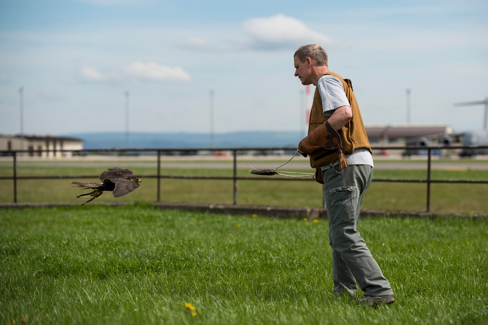 Jens Fleer, the base falconer, demonstrates the capabilities of a hunting falcon alongside the flightline at Spangdahlem Air Base, Germany, May 4, 2015. The falcon’s primary purpose is to prevent habituation of rabbits, hares, geese, crows and other smaller birds on or near the flightlline. (U.S. Air Force photo by Airman 1st Class Luke Kitterman/Released)