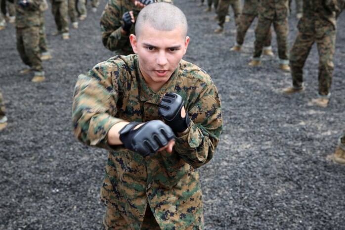 Recruit John E. Martinez, Platoon 1029, Bravo Company, 1st Recruit Training Battalion, throws the rear hand punch during a Marine Corps Martial Arts Program lesson at Marine Corps Recruit Depot San Diego, April 22. Marine Corps Martial Arts Program techniques were demonstrated by drill instructors in order to give recruits a visual of how to perform the move properly. Martinez is a Crown Point, Ind., native and was recruited out of Recruiting Station Indianapolis. Today, all male recruits recruited from recruiting stations west of the Mississippi are trained at MCRD San Diego. The depot is responsible for training more than 16,000 recruits annually. Company B is scheduled to graduate from recruit training on July 10.
