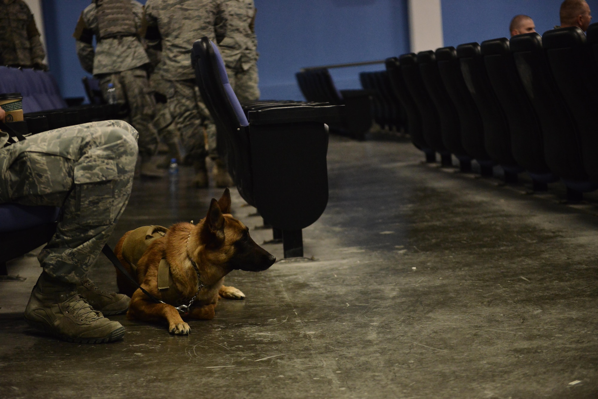 Jecky, 379th Expeditionary Security Forces Squadron military working dog, sits and waits for the start of the memorial service of MWD Jonny May 2, 2015 at the Blatchford-Preston Complex at Al Udeid Air Base, Qatar. ( U.S. Air Force photo by Staff Sgt. Alexandre Montes) 