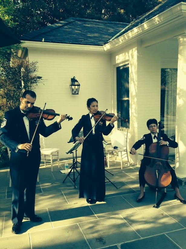 Members of the Air Force Strings performed for guests at the Vice President's residence,
providing a wonderful backdrop for the event and representing Air Force excellence. (U.S. Air Force Photo/released)
