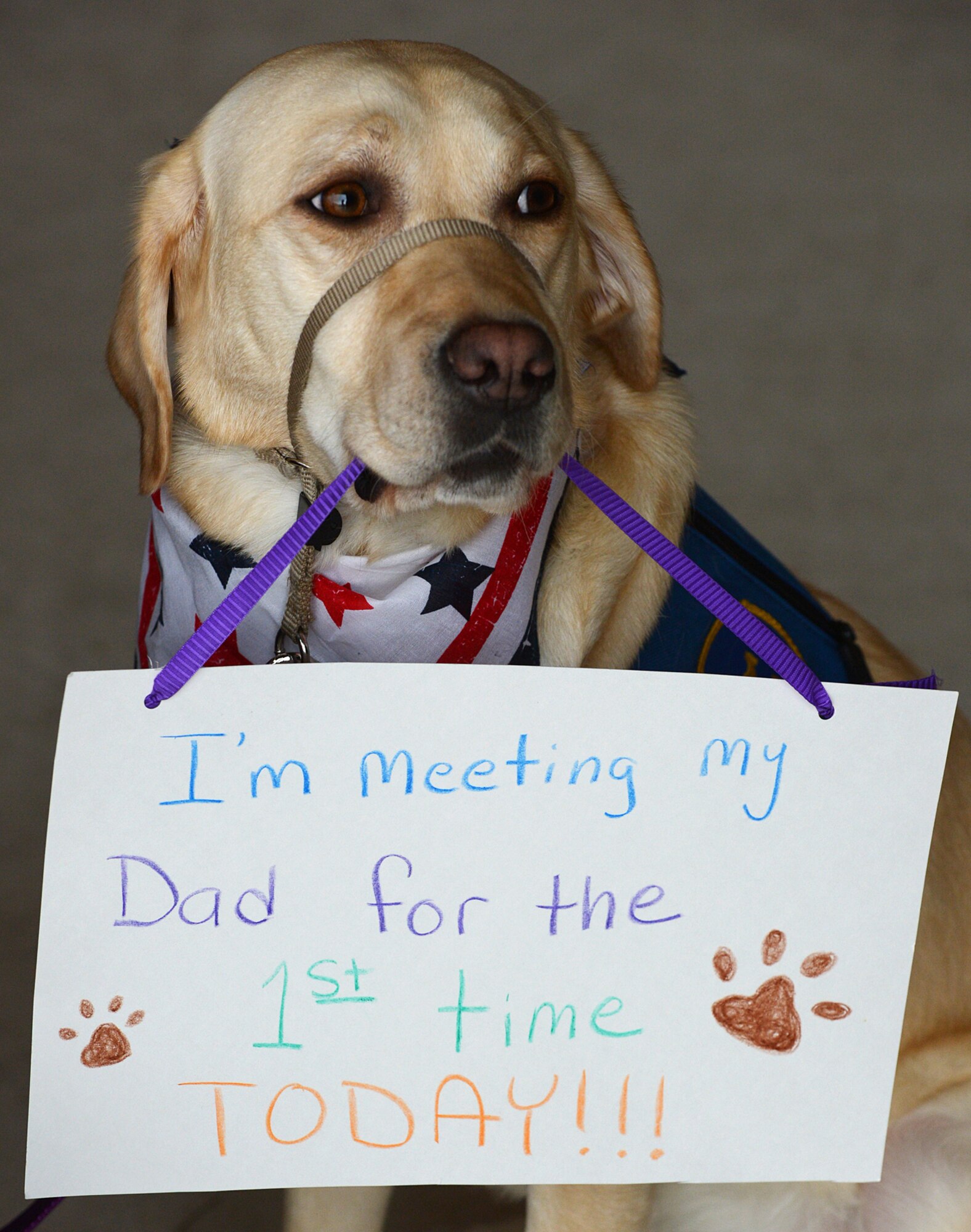 Man's best friend waits to greet its Hill AFB Airmen coming home from a six-month deployment in Afghanistan. Pilots, maintenance, and operations support personnel from the 388th Fighter Wing and 419th Fighter wing were assigned to the 455th Expeditionary Operations Group alongside Airmen from Hill's active-duty 388th Fighter Wing. The deployment is part of Operation Freedom's Sentinel, which aims to maintain security and stability in the area following Operation Enduring Freedom, which officially concluded in 2014.(U.S. Air Force/Alex R. Lloyd)
