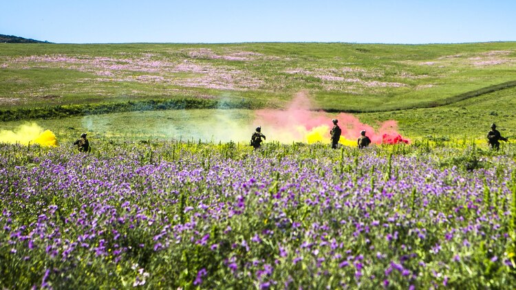 U.S. Marines from Special-Purpose Marine Air-Ground Task Force Crisis Response-Africa assault a simulated enemy position at a training range in Sierra Del Retin, Spain, May 6, 2015. The Marines used colored smoke to signal different maneuvers while maintaining a constant base of fire to support their movements.