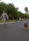 Tech Sgt. Jonathan Williams, from the647th Security Forces Squadron, walks down Porter Avenue with his military working dog Jon during a police week ruck march on Joint Base Perl Harbor-Hickam, Hawaii, May 5, 2015. Each May, during National Police Week, the U.S. recognizes the service law enforcement and remembers those who have lost their lives in the line of duty. (U.S. Air Force Photo by Tech Sgt. Aaron Oelrich/Released) 