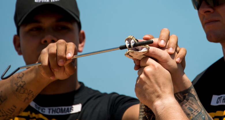 The 6th Ranger Training Battalion’s resident snake handlers show the fangs of a poisonous snake to the crowd during the snake show demonstration at the Rangers’ Open House event May 9 at Eglin Air Force Base, Fla. The event was a chance for the public to learn how Rangers train and operate. The event displays showed equipment, weapons, a reptile zoo, face painting and weapon firing among others. The demonstrations showed off hand-to-hand combat, a parachute jump, snake show, and Rangers in action. (U.S. Air Force photo/Tech. Sgt. Jasmin Taylor)