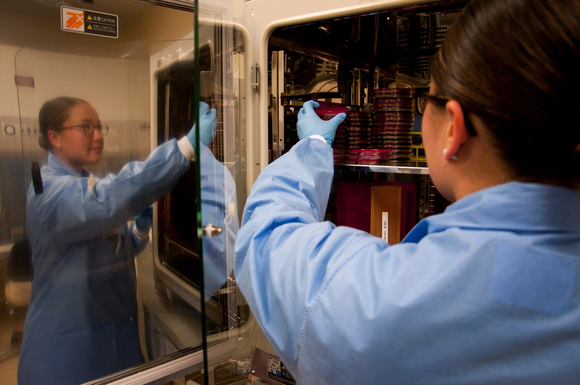 Senior Airman Mary Boyd, 6th Medical Support Squadron laboratory technician, puts a micro plate in an incubator May 6, 2015 at MacDill Air Force Base, Fla. The incubator is used to store micro plates to help the bacteria grow. (U.S. Air Force photo by Senior Airman Jenay Randolph/Released) 