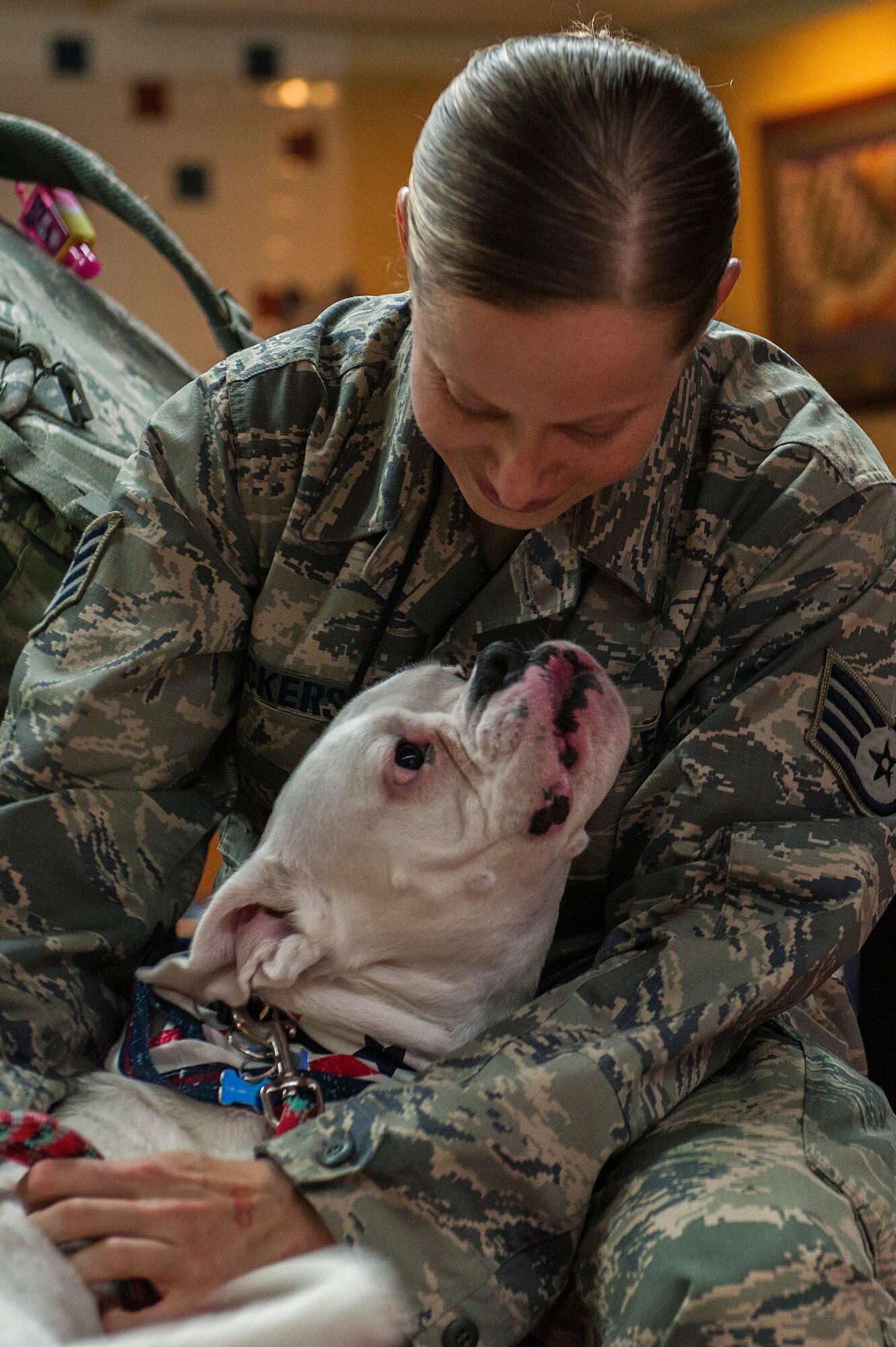 Staff Sgt. Arin Vickers, 435 Supply Chain Operations Squadron, spends time with her dog Baxter, that she just reunited with at the St. Louis Airport USO, St. Louis, Missouri, May 6, 2015. Vickers was gone for 6 months, and her friends and family were there to greet her and surprise her with Baxter. Vickers and Baxter would later welcome their new family member, a dog named Bandit, who Vickers rescued from Kuwait, where she was deployed. (U.S. Air Force photo by Airman 1st Class Erica Crossen)