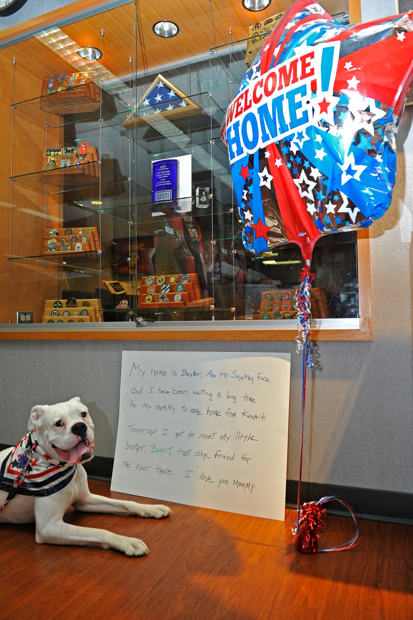 Baxter waits for his owner Staff Sgt. Arin Vickers, 435 Supply Chain Operations Squadron, to arrive home at the St. Louis Airport USO, St. Louis, Missouri, May 6, 2015. Vickers was gone for 6 months, and her friends and family were there to greet her and surprise her with Baxter. Vickers and Baxter would later welcome their new family member, a dog named Bandit, who Vickers rescued from Kuwait, where she was deployed. (U.S. Air Force photo by Airman 1st Class Erica Crossen)
