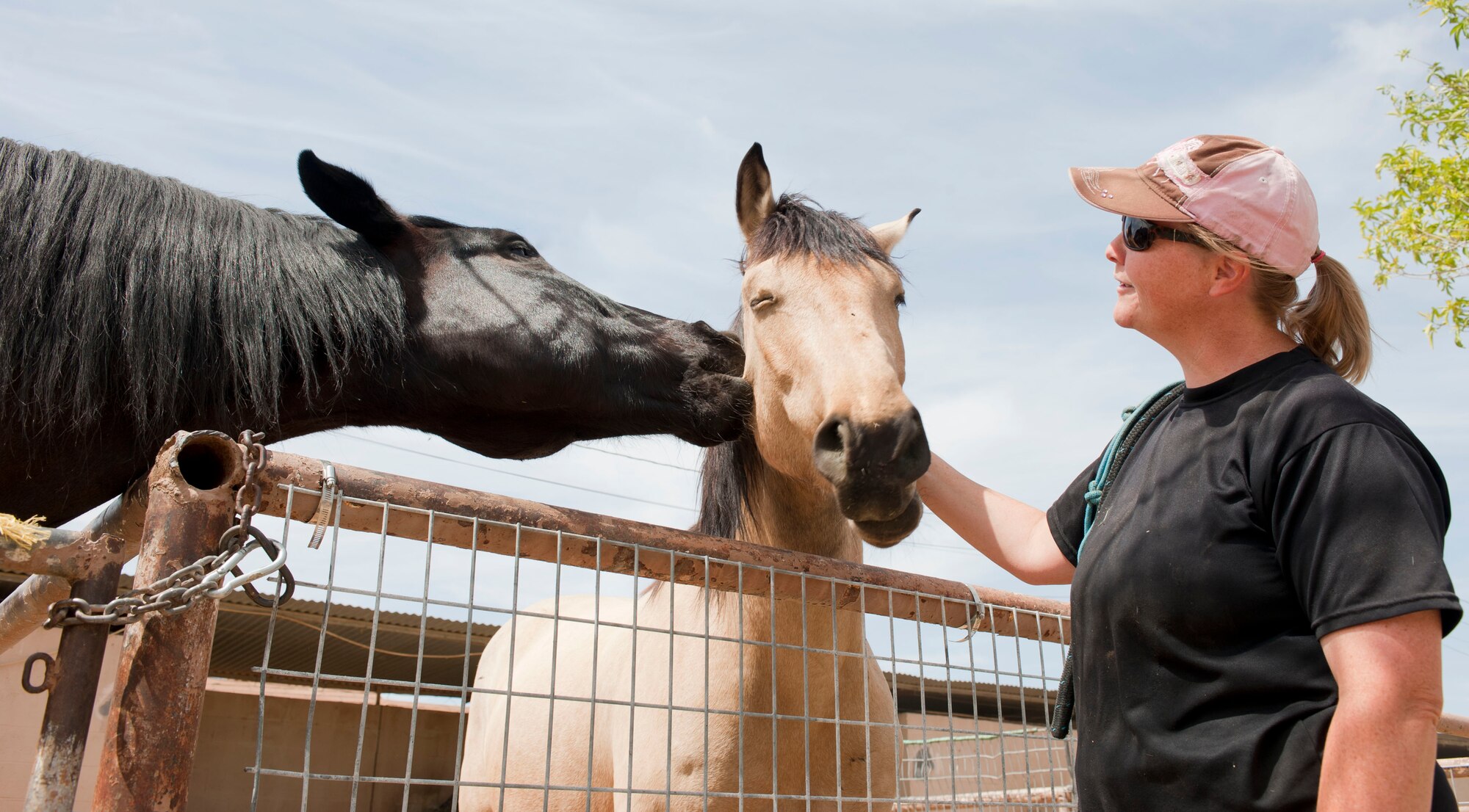 Chanel Jernigan, wife of retired Master Sgt. Stacy Jernigan, watches as her horses Zuli, left, and Zeb play with one another at the stables on Nellis Air Force Base, Nev., May 6, 2015. Jernigan rides her horses recreationally on trails. (U.S. Air Force photo by Airman 1st Class Mikaley Towle)