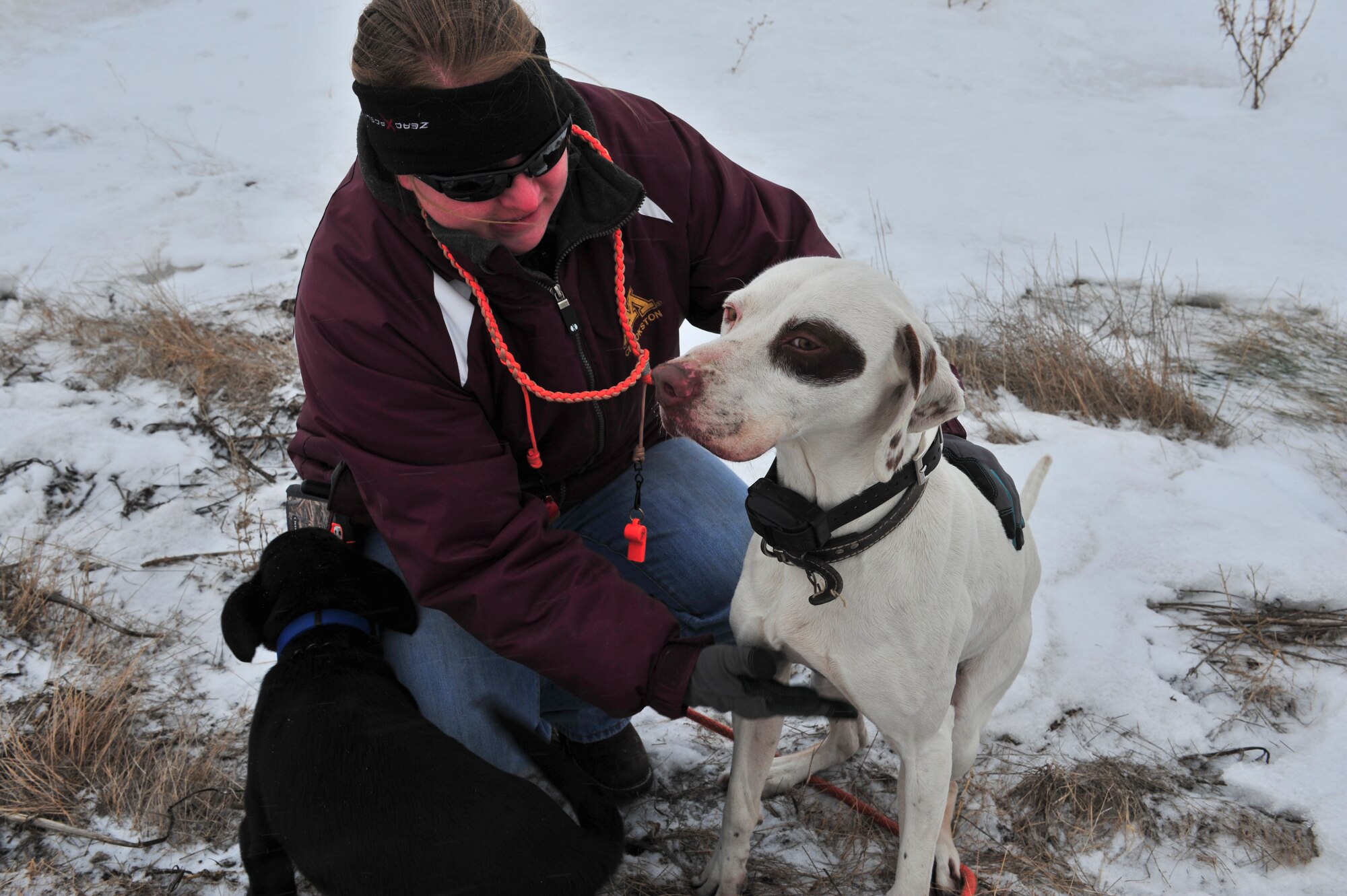 Senior Airman Kasey Castor, 5th Maintenance Group weapons load crew team member, takes her hunting dogs out to exercise in Minot, N.D., Jan. 31, 2015. Castor unwinds from a hard day of work by hunting and is currently working on her degree in fisheries and wildlife (U.S. Air Force photo/Senior Airman Malia Jenkins)