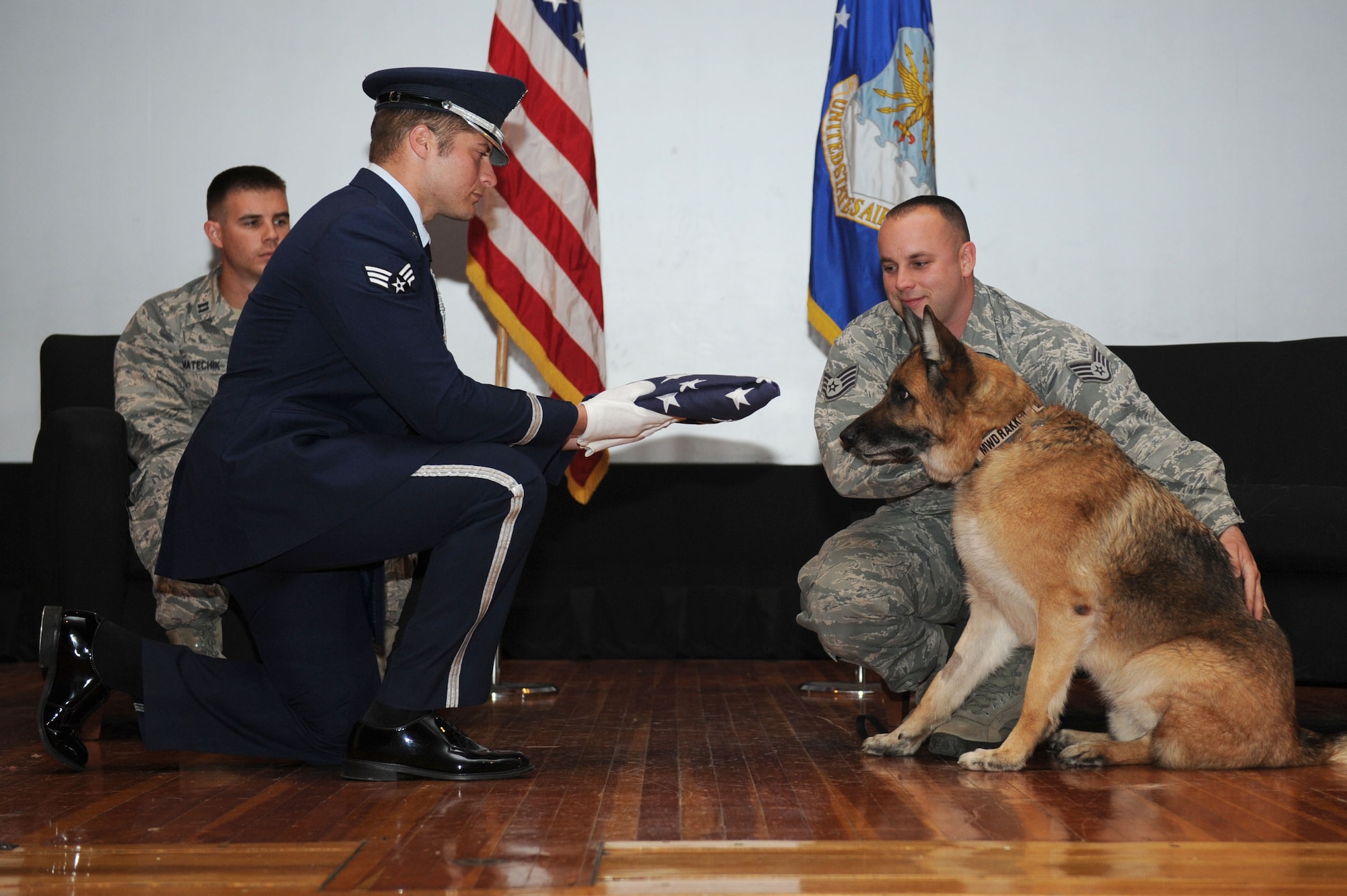 A McConnell Air Force Base Honor Guardsman presents a flag to 22nd Security Forces Squadron Military Working Dog Rakker during a retirement ceremony, May 13, 2015, at McConnell AFB. Rakker, a former explosive detection MWD, retired after 49 dog years of service in which he conducted more than 11,000 sweeps throughout his career. (U.S. Air Force photo by Airman 1st Class Tara Fadenrecht)