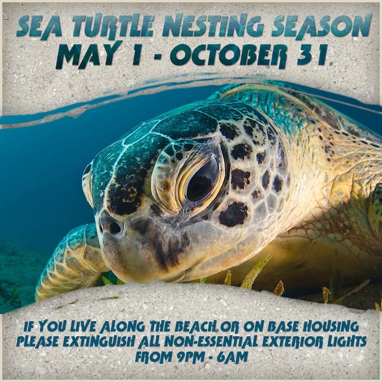 Team Patrick-Cape and the community, is reminded that sea turtle nesting season is May 1 to Oct. 31, and that all nonessential lighting must be extinguished between 9 p.m. to 6 a.m. during nesting season in effort to protect wildlife. (U.S. Air Force graphic/James Rainier) (Released)