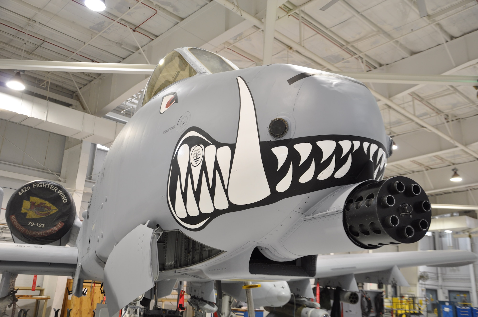 Aircraft 79-123 is the first A-10 Thunderbolt II flying out of the 442d Fighter Wing at Whiteman Air Force Base, Mo., to receive teeth on 13 May. The design was initiated by Senior Airman Spencer Stringer, an aircraft structural maintenance technician. The design was created by Stringer, and his supervisor Master Sgt. Geary Rose.