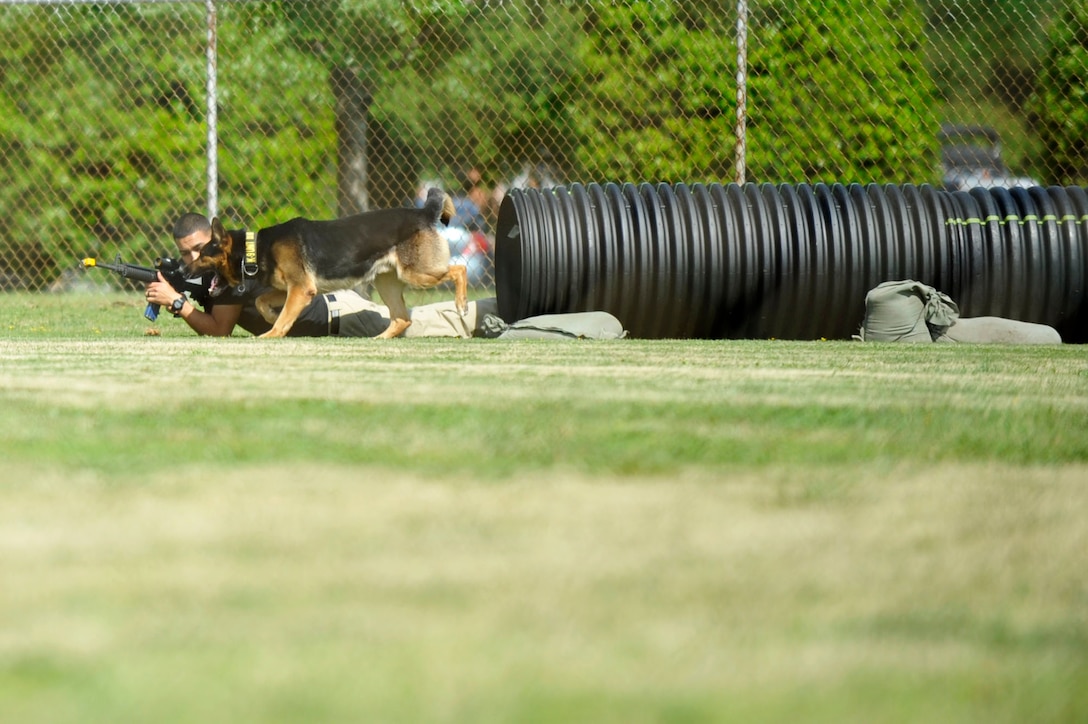 A law enforcement dog handler low crawls through a tunnel with his companion during the K-9 competition which was a part of Joint Base Langley-Eustis’ Police Week, at Langley Air Force Base, Va., May 13, 2015. Military working dogs and law enforcement dogs play a valuable role in safeguarding JBLE, the Hampton Roads area and the United States. (U.S. Air  Force photo by Senior Airman Breonna Veal/Released)