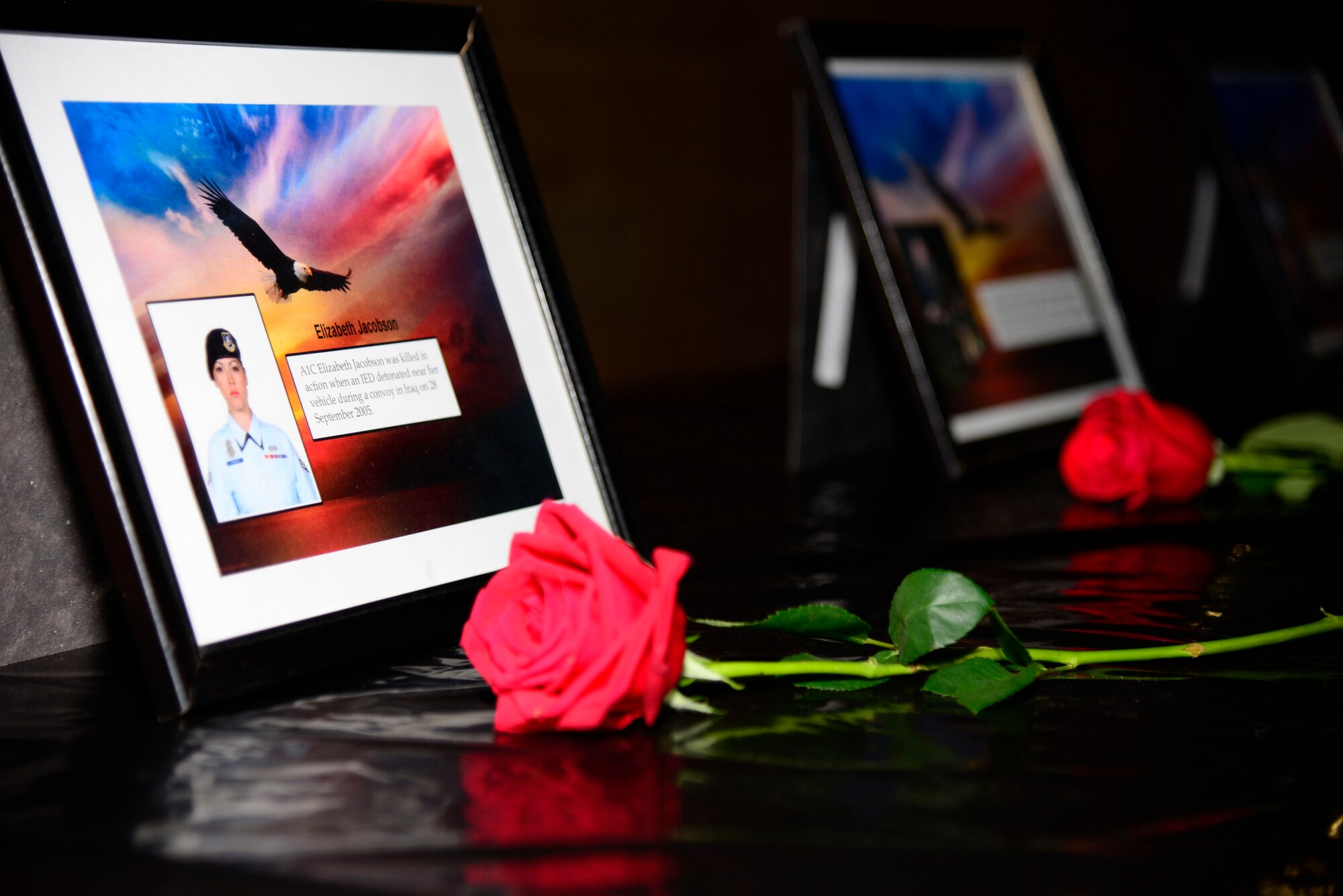 A rose lays in front of a plaque in honor of U.S. Air Force Airman 1st Class Elizabeth Jacobson, a fallen security forces comrade, during a National Police Week memorial ceremony at an undisclosed location in Southwest Asia May 14, 2015. Jacobson died in action when an improvised explosive device detonated near her vehicle convoy in Iraq on Sept. 28, 2005. (U.S. Air Force photo by Senior Airman Racheal E. Watson/Released)