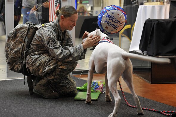 Staff Sgt. Arin Vickers, assigned to the 435 Supply Chain Operations Squadron, is greeted by her dog when she arrives at the St. Louis Airport USO, in St. Louis, May 6, 2015. Vickers was gone for six months, and her friends and family were there to greet her and surprise her by bringing along Baxter. (U.S. Air Force photo/Airman 1st Class Erica Crossen)