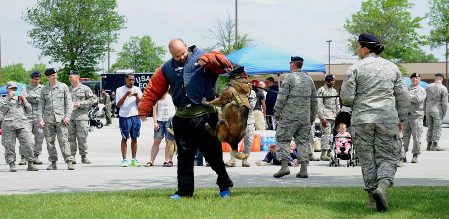 Military working dog Nirvana bites Staff Sgt. Ben Rodriguez, 45th Security Forces Squadron, Patrick Air Force Base, Fla., military working dog handler, during a demonstration led by Staff Sgt. Monica Bizallion, 11th Security Forces Support Squadron military working dog handler, May 13, 2015, as part of National Police Week at Joint Base Andrews, Md. Team Andrews utilizes more than 30 MWDs to help protect the base, residents and flight line. (U.S. Air Force photo by Senior Airman Preston Webb)
