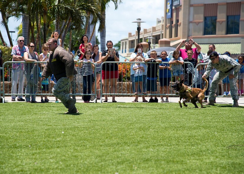 Staff Sgt. Matthew Zantene, 647th Security Forces Squadron military working dog handler, dressed in a dog training personnel protective outfit, runs from  Senior Airman Cody Becker, 647th Security Forces Squadron MWD handler, and his MWD Ggregory during  the National Police Week fair at the Navy Exchange Mall, Hawaii, May 13, 2015. Becker demonstrated how he can release  Ggregory to chase a suspect and  command Ggregory to stop without harming the suspect if needed. (U.S. Air Force photo by Tech. Sgt. Aaron Oelrich/Released)
 
