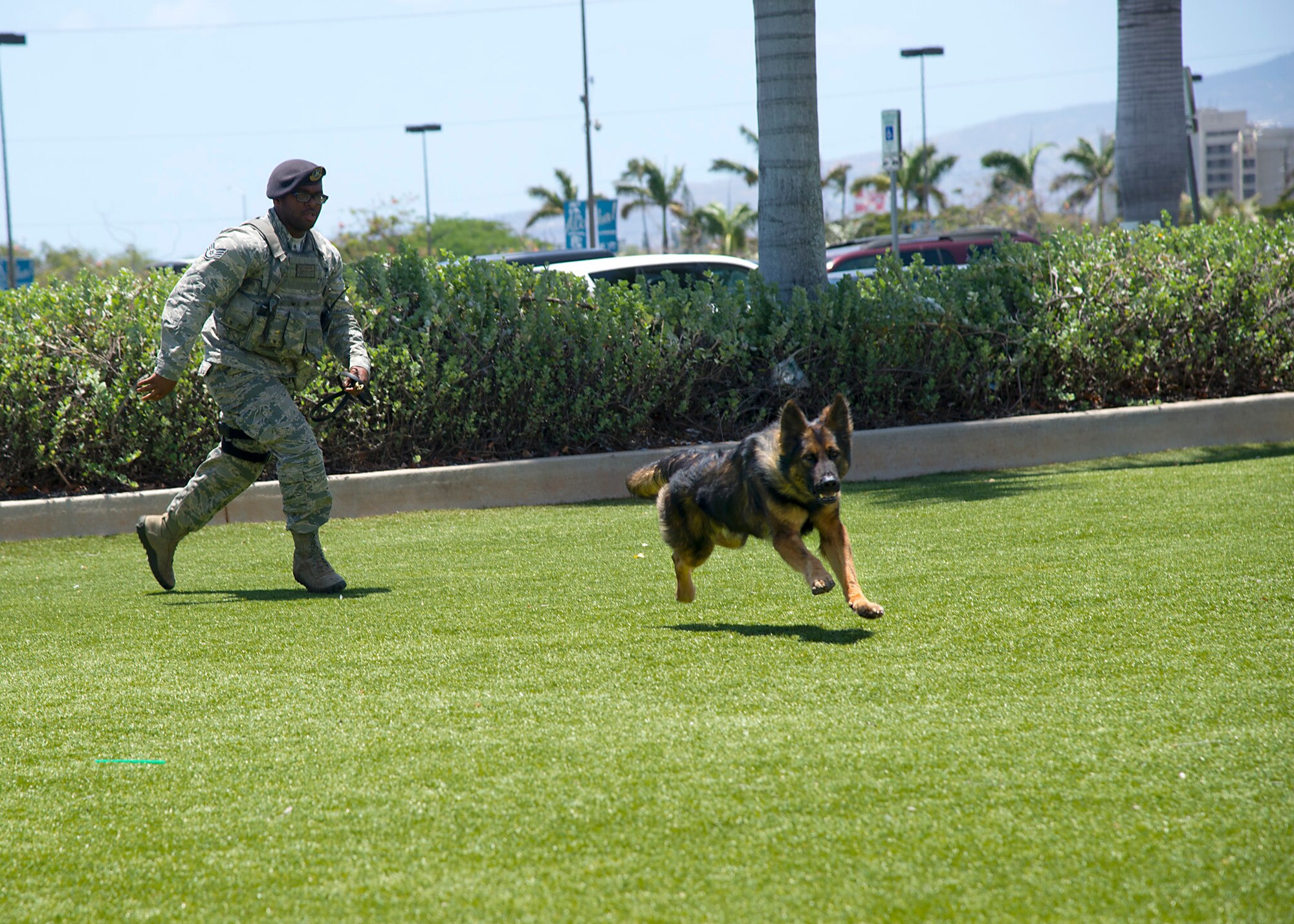 Staff Sgt. Joshua Chase, a 647th Security Forces Squadron military working dog handler, and his  MWD Chewy demonstrated a high-risk traffic stop during a military working dog demonstration at the Navy Exchange Mall, Hawaii, May 13, 2015. The demonstration was part of National Police Week, a week that pays special recognition to those law enforcement officers who have lost their lives in the line of duty for the safety and protection of others. (U.S. Air Force photo by Tech. Sgt. Aaron Oelrich/Released)
 
