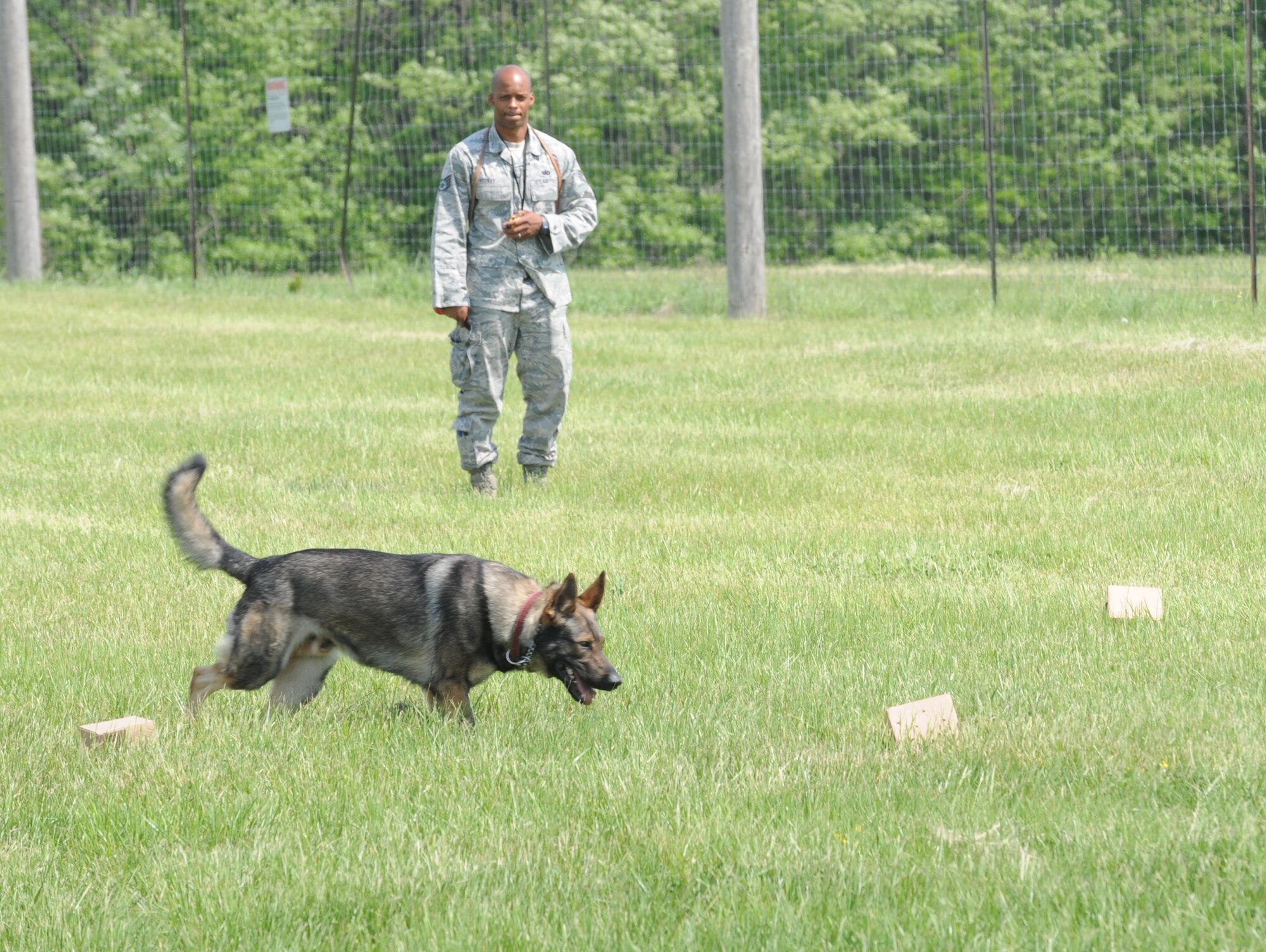 U.S. Air Force Staff Sgt. Johnny Key, 509th Security Forces Squadron military working dog handler, trains with MWD Dusty during a drug search exercise at Whiteman Air Force Base, Mo., May 5, 2015. Key and Dusty have been partners for seven months. (U.S. Air Force photo by Staff Sgt. Alexandra M. Longfellow/Released)