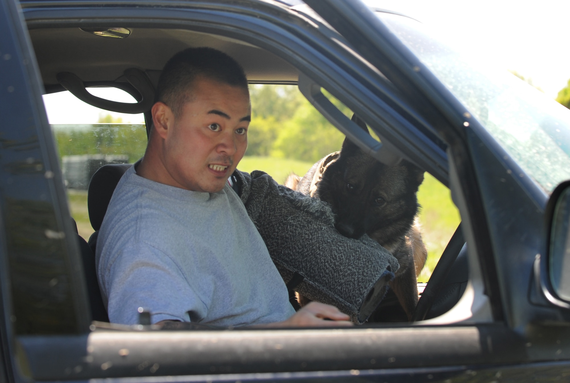 U.S. Air Force Staff Sgt. Ki Seung Nam, 509th Security Forces Squadron military working dog handler, takes a bite from MWD Kyranja during a vehicle extraction at Whiteman Air Force Base, Mo., April 30, 2015. During a vehicle extraction, a dog is sent into the vehicle to pull the subject out. (U.S. Air Force photo by Staff Sgt. Alexandra M. Longfellow/Released)