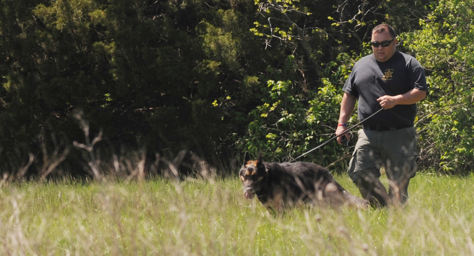 Jackson County Police Department deputy Brad Norton and K-9 Bdar, perform a scout for a “bad guy” that has taken off on foot into the woods at Whiteman Air Force Base, Mo., April 30, 2015. Several local police departments trained with the 509th Security Forces Squadron military working dog section on several tactics such as off-leash training and apprehending suspects. (U.S. Air Force photo by Staff Sgt. Alexandra M. Longfellow/Released)